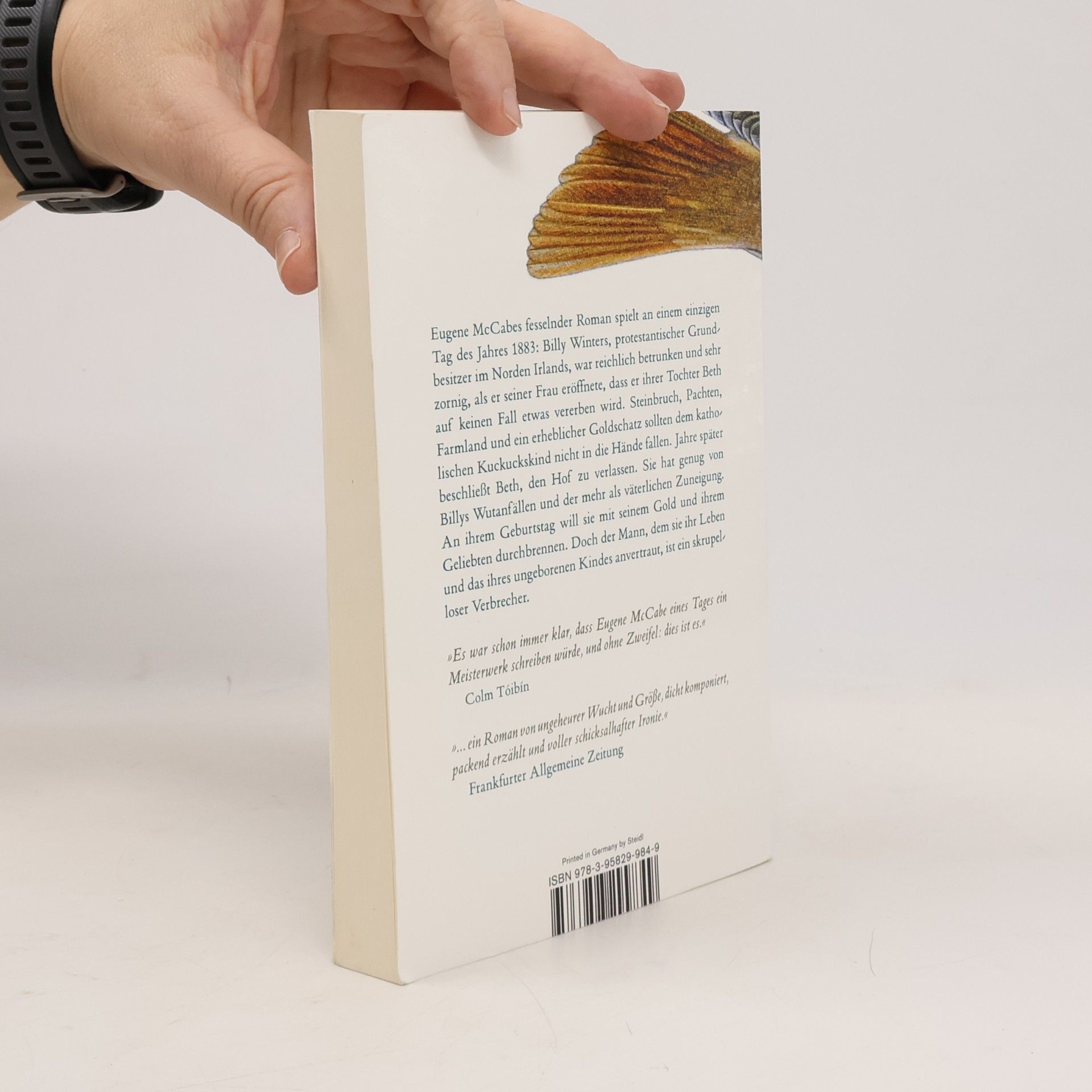 Eugene McCabe Tod und Nachtigallen (Steidl Pocket)
