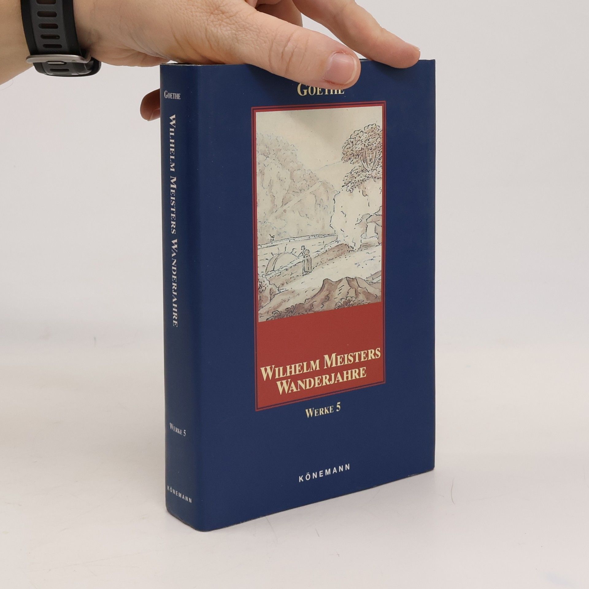 Johann Wolfgang von Goethe Wilhelm Meisters Wanderjahre oder die Entsagenden