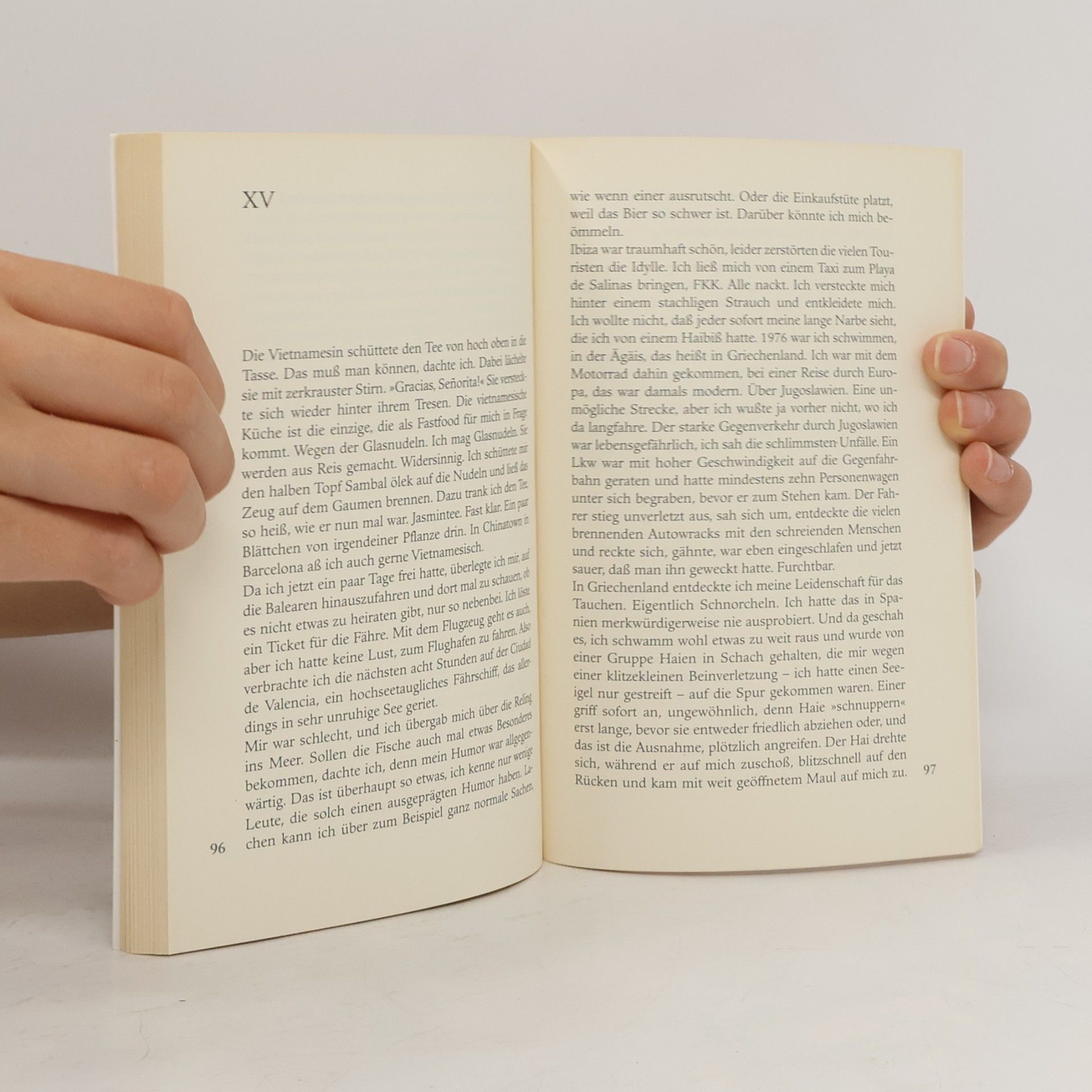 Helge Schneider Die Memoiren des Rodriguez Faszanatas