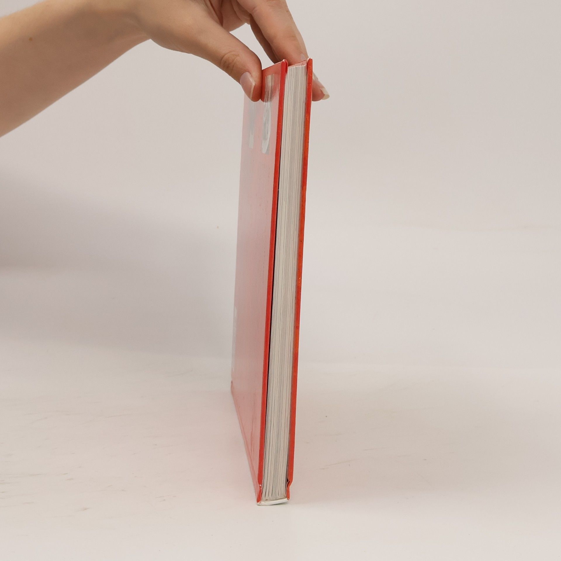 Gina Ruck-Pauquèt Sandmännchens Geschichtenbuch