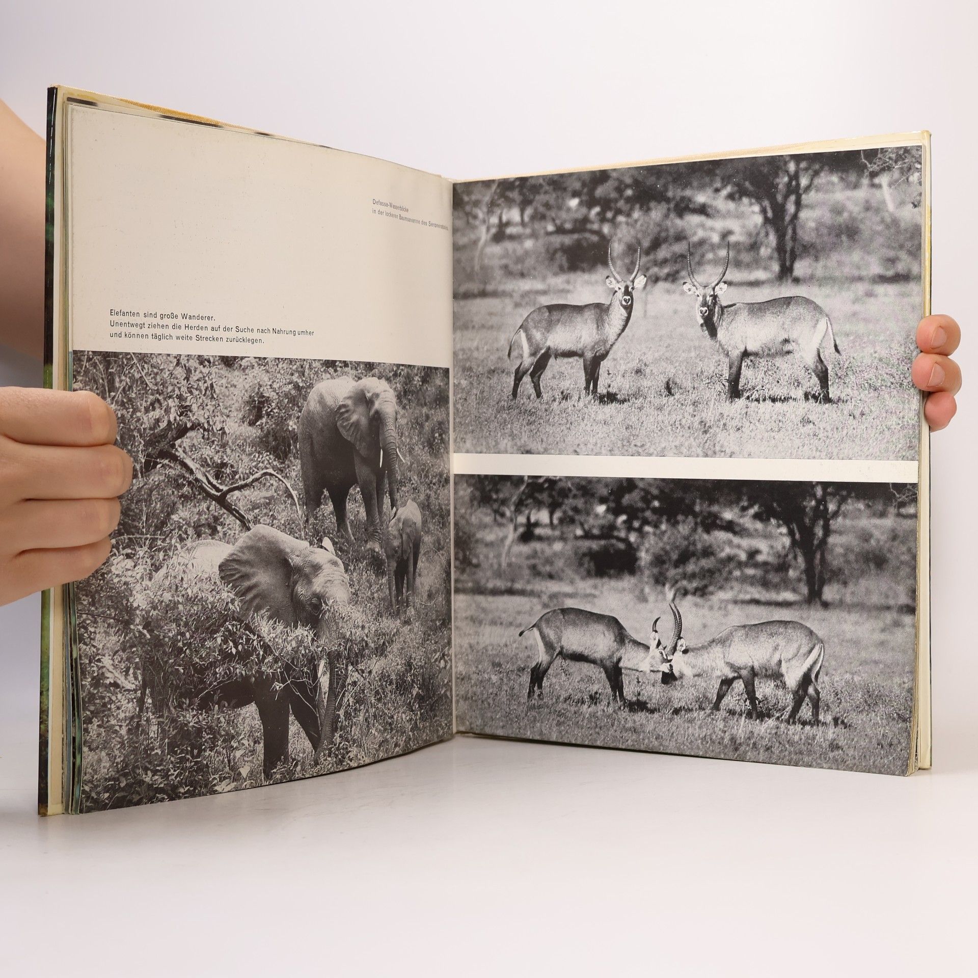 Harald Lange Hege der Wildnis