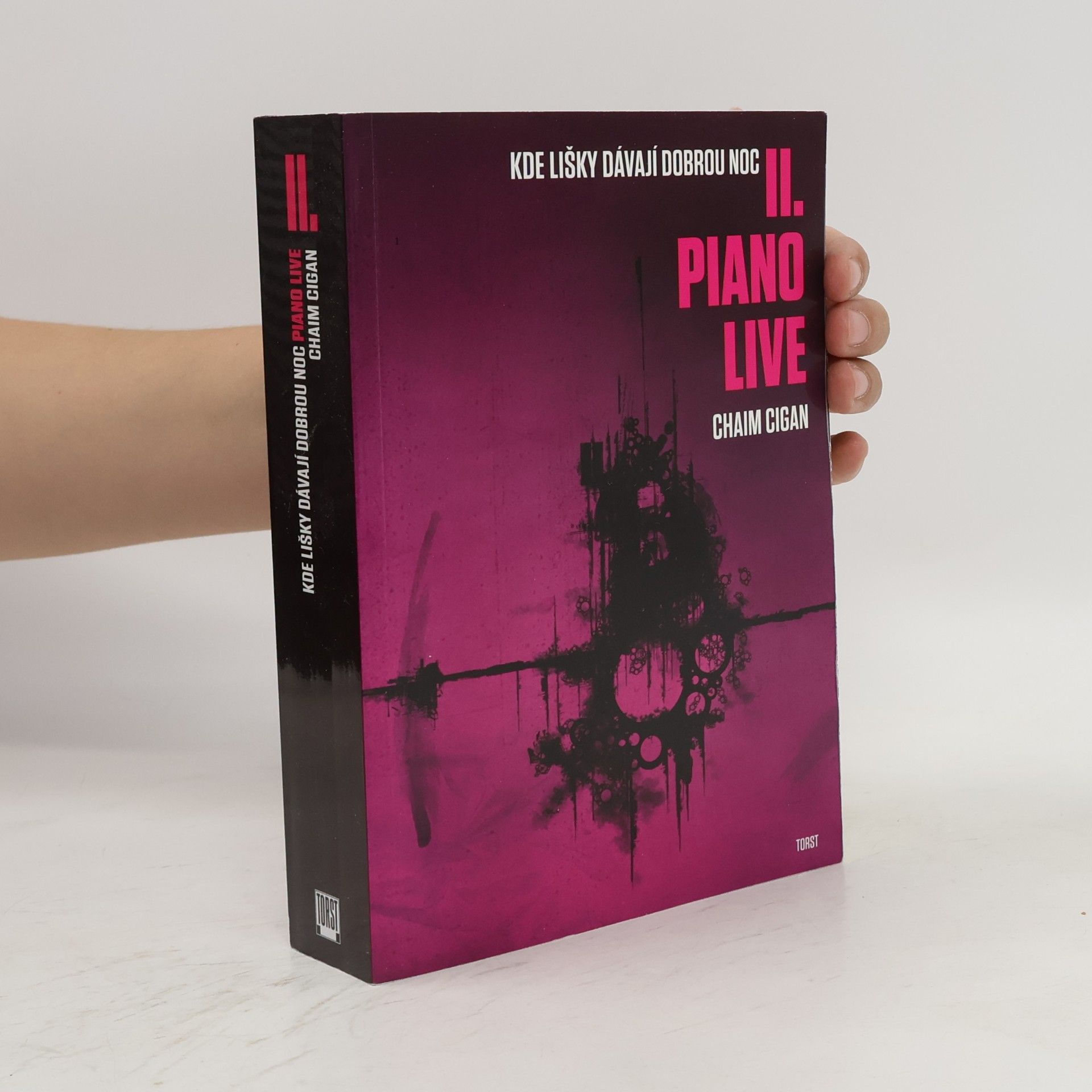 Karol Sidon Kde lišky dávají dobrou noc II. Piano live