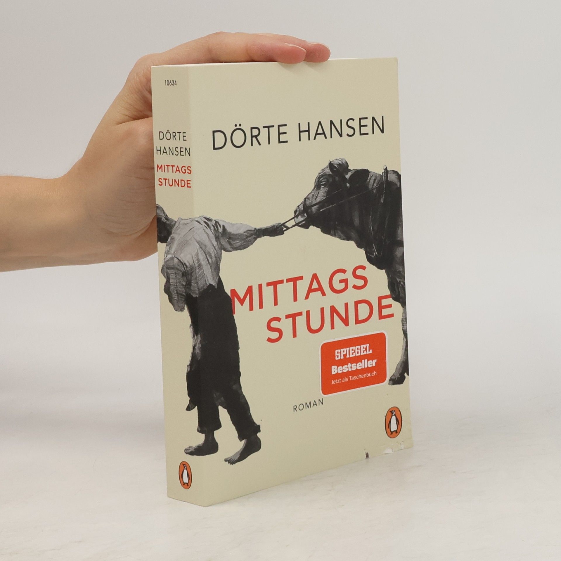 Dörte Hansen Mittagsstunde