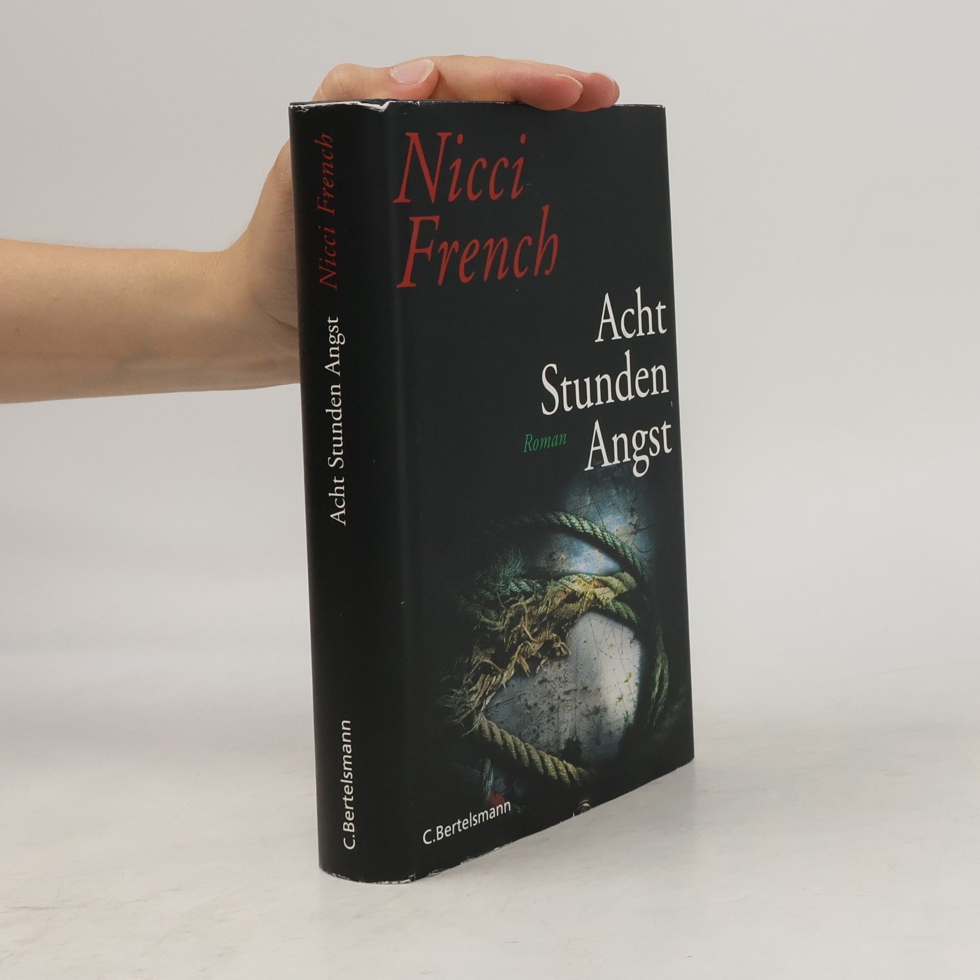 Nicci French Acht Stunden Angst