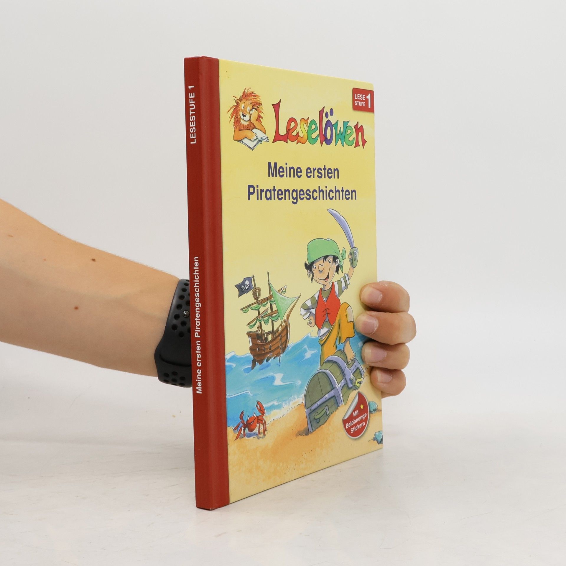 Autorenkollektiv Leselöwen. Meine ersten Piratengeschichten