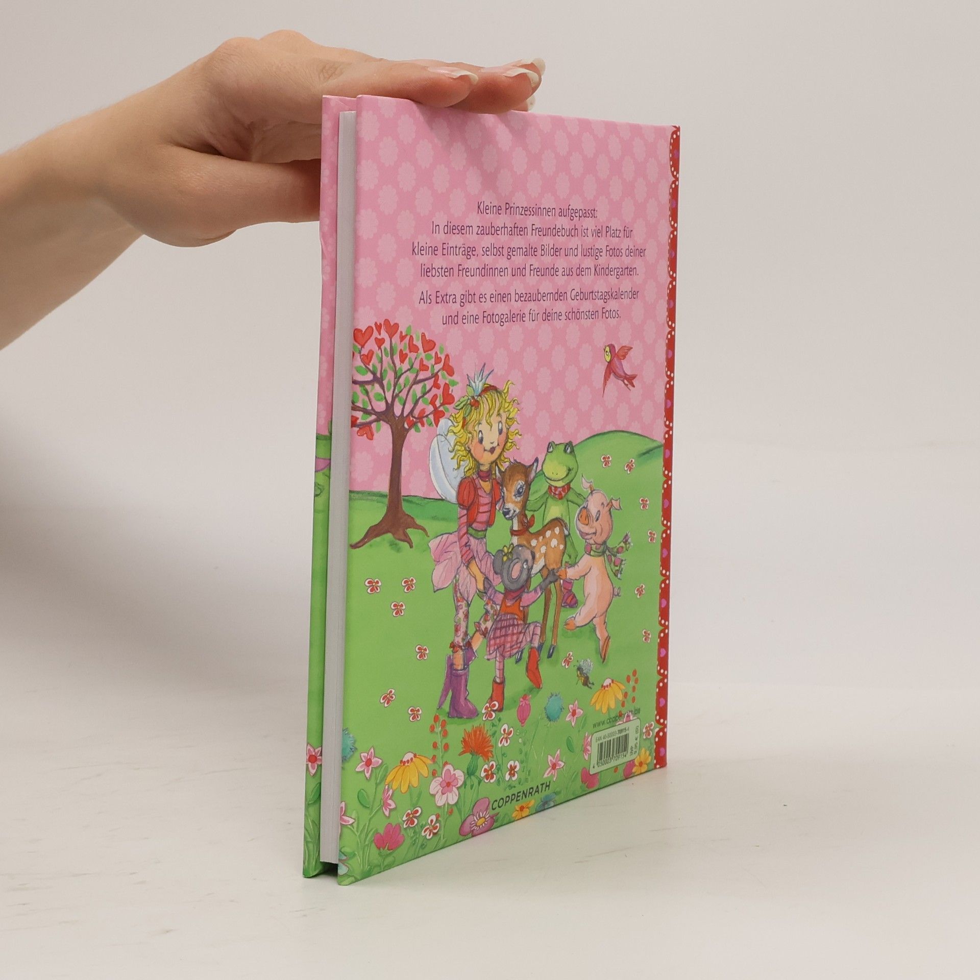 Monika Finsterbusch Prinzessin Lillifee - Alle meine Kindergartenfreunde