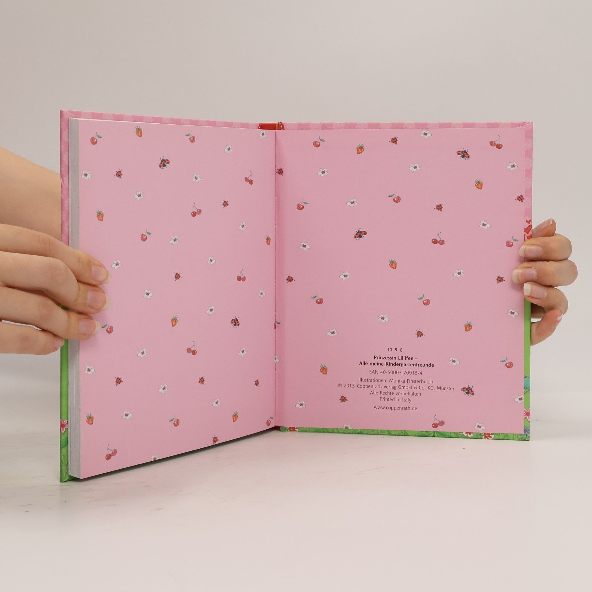 Monika Finsterbusch Prinzessin Lillifee - Alle meine Kindergartenfreunde
