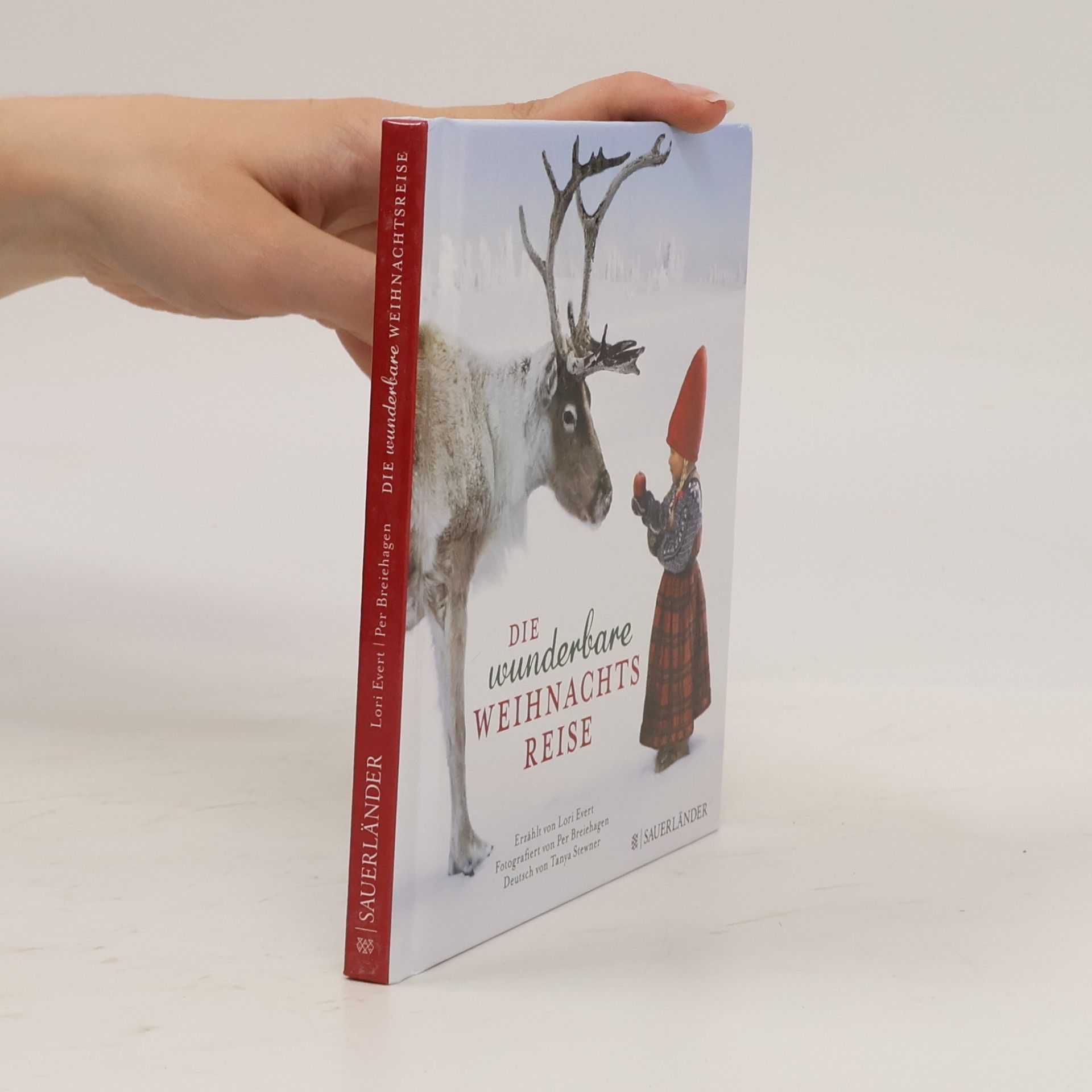 Lori Evert Die wunderbare Weihnachtsreise