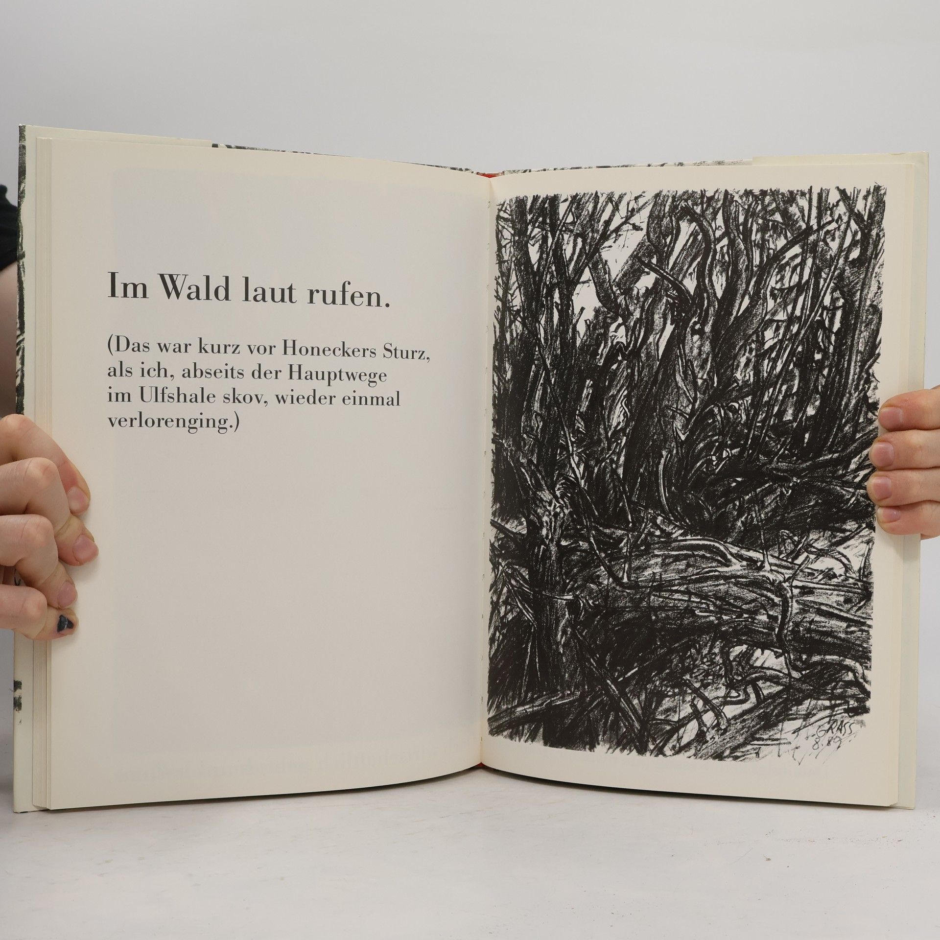 Günter Grass Totes Holz
