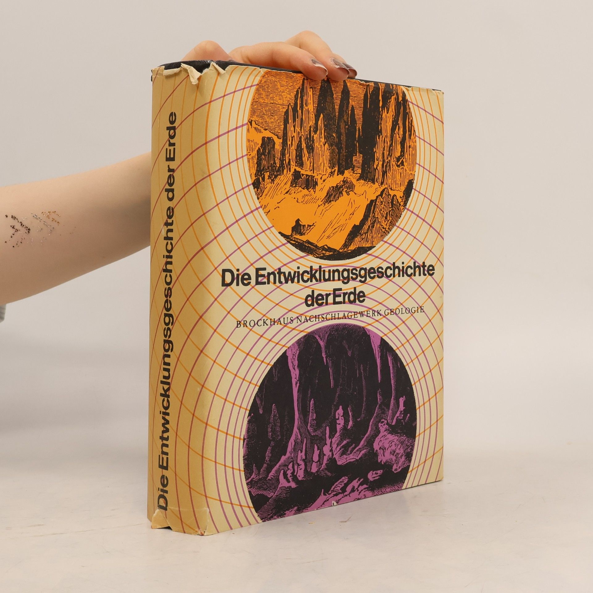 Autorenkollektiv Die Entwicklungsgeschichte der Erde