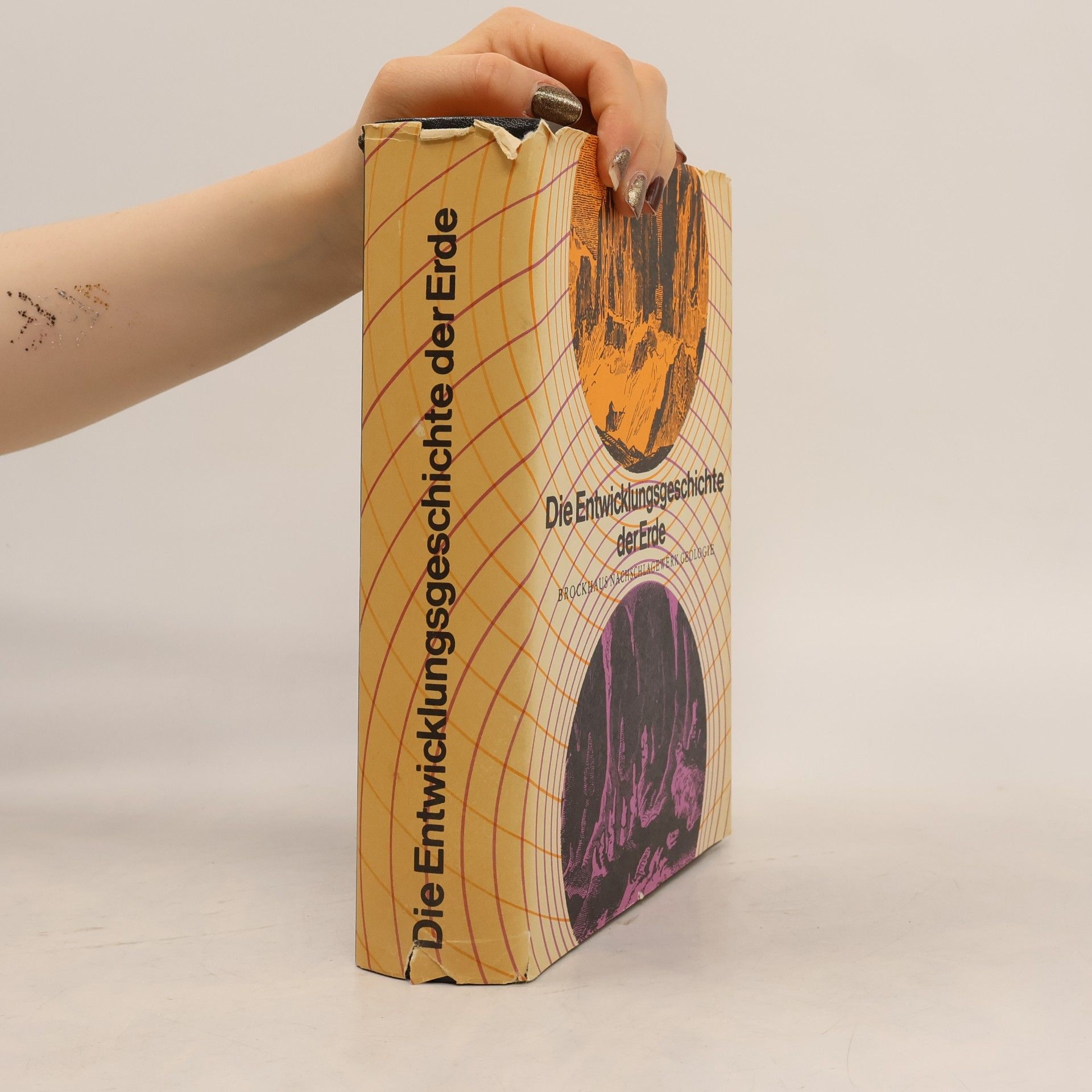 Autorenkollektiv Die Entwicklungsgeschichte der Erde