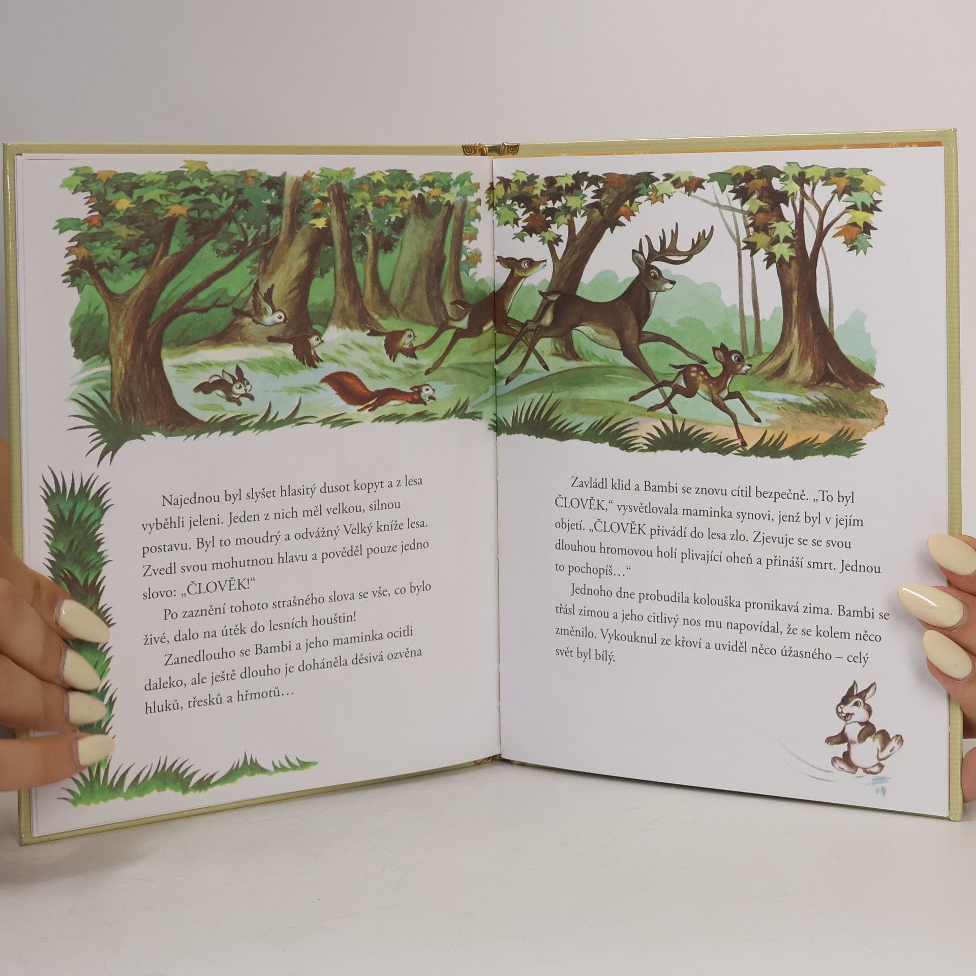 Autorenkollektiv Zlatá sbírka pohádek 4. Bambi