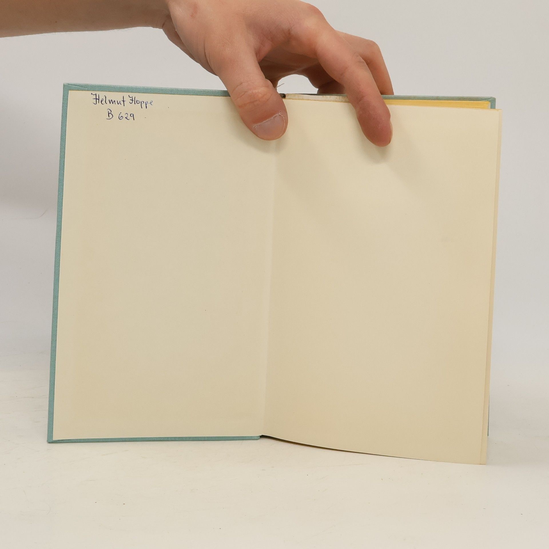 Hans Fallada Wolf unter Wölfen
