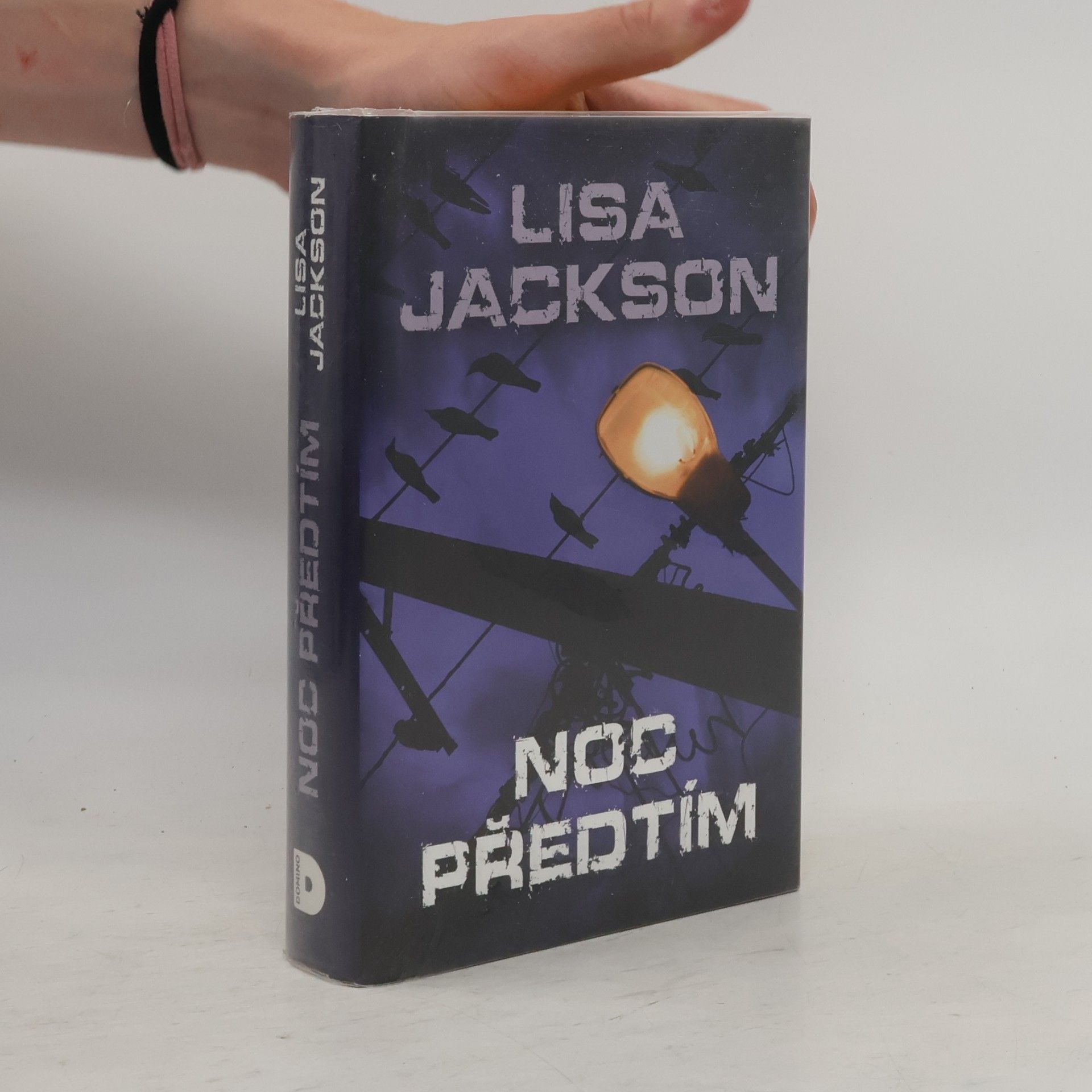 Lisa Jackson Noc předtím