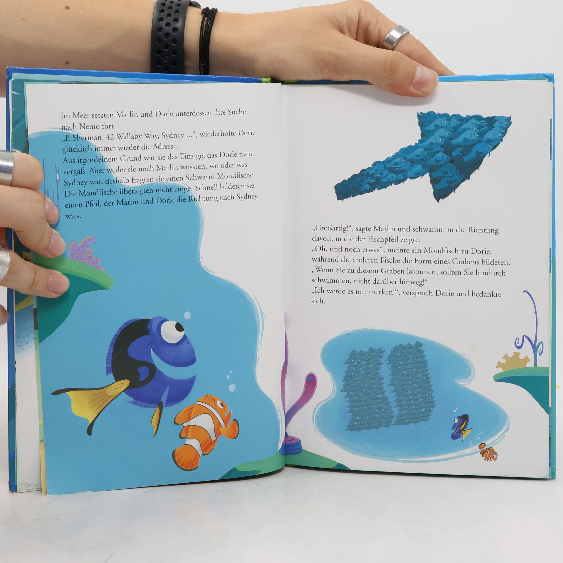 Walt Disney Findet Nemo