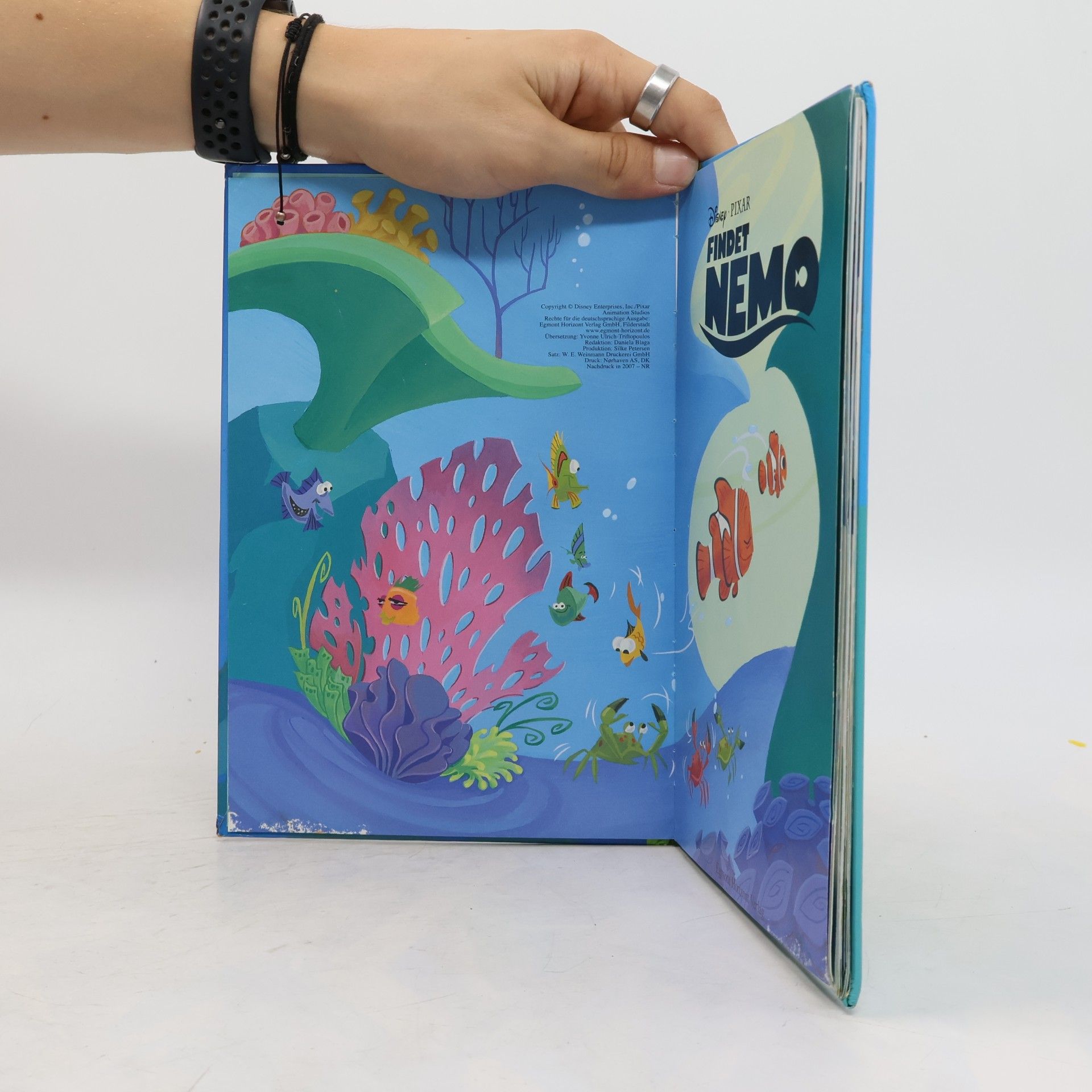 Walt Disney Findet Nemo