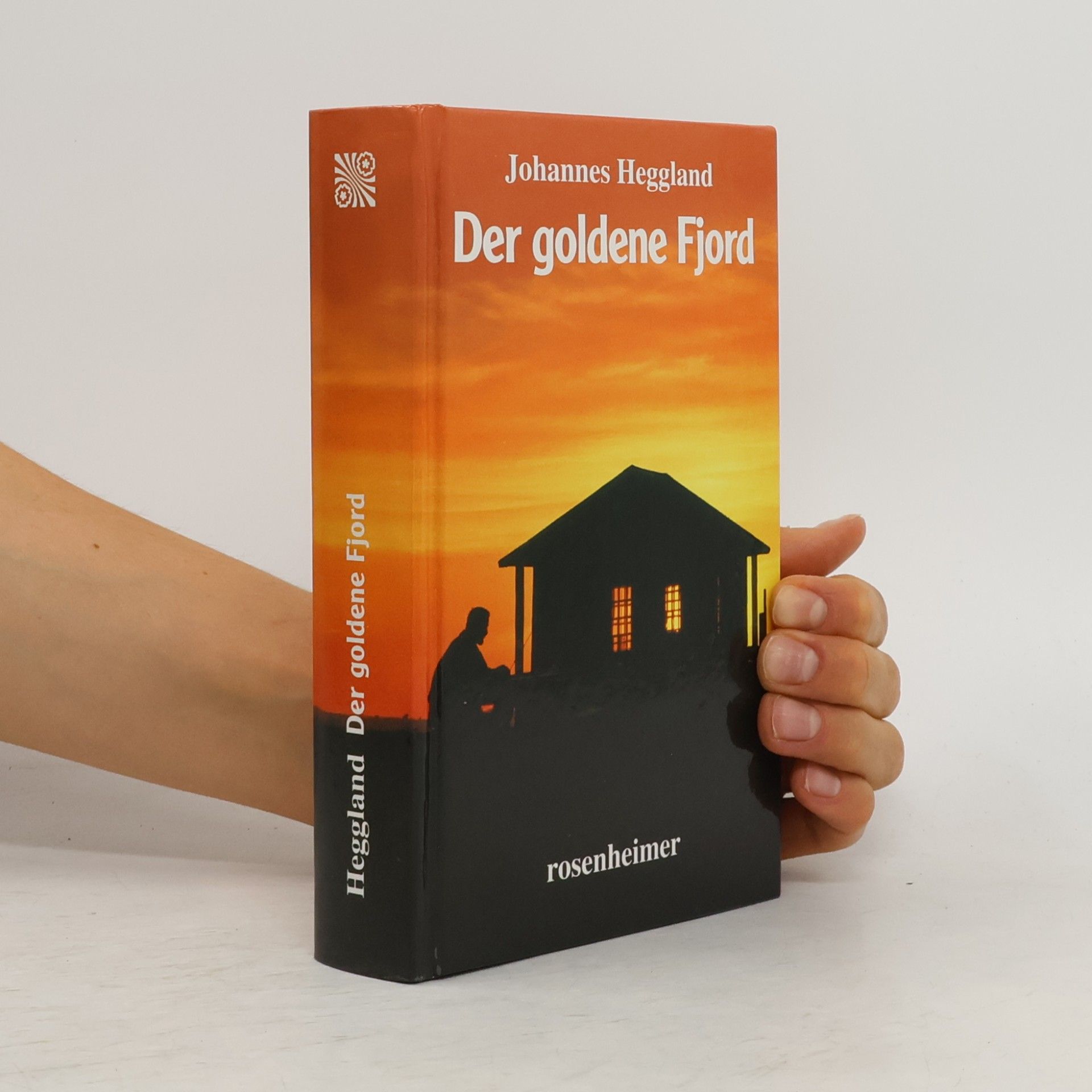 Åse Birkenheier Der goldene Fjord. Roman