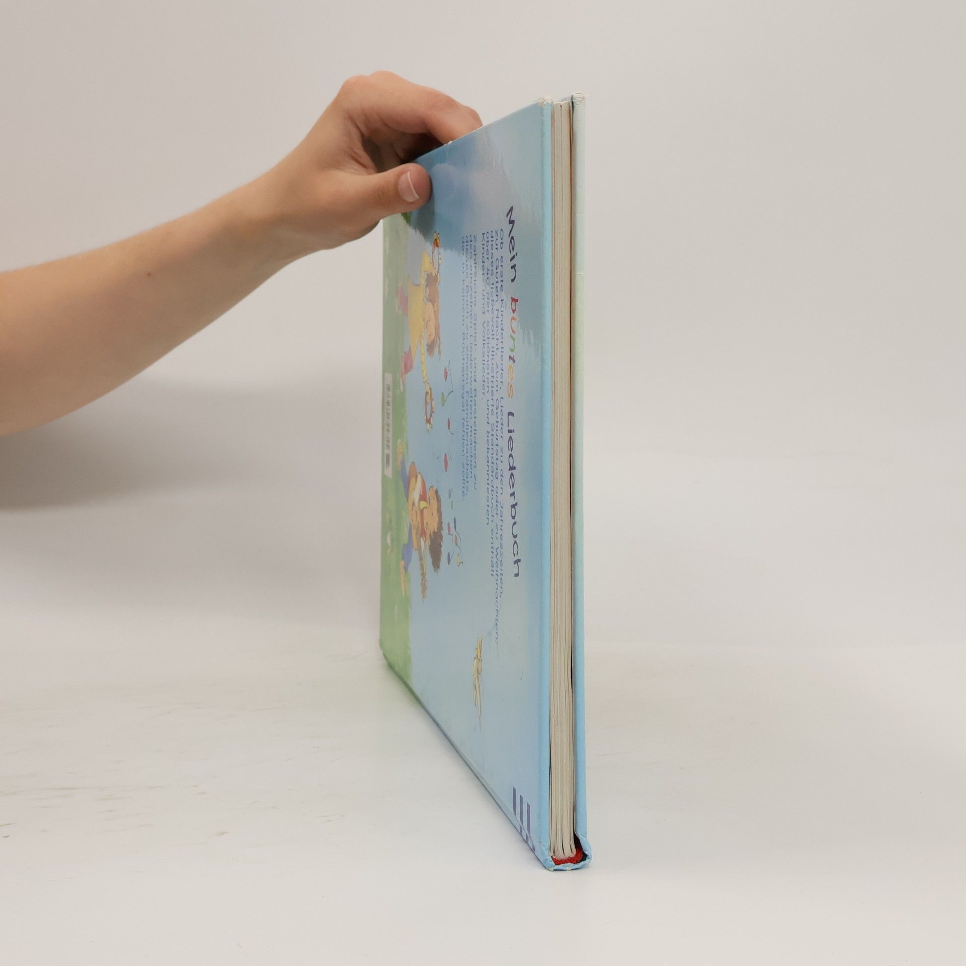 Barbara Cratzius Mein buntes Liederbuch