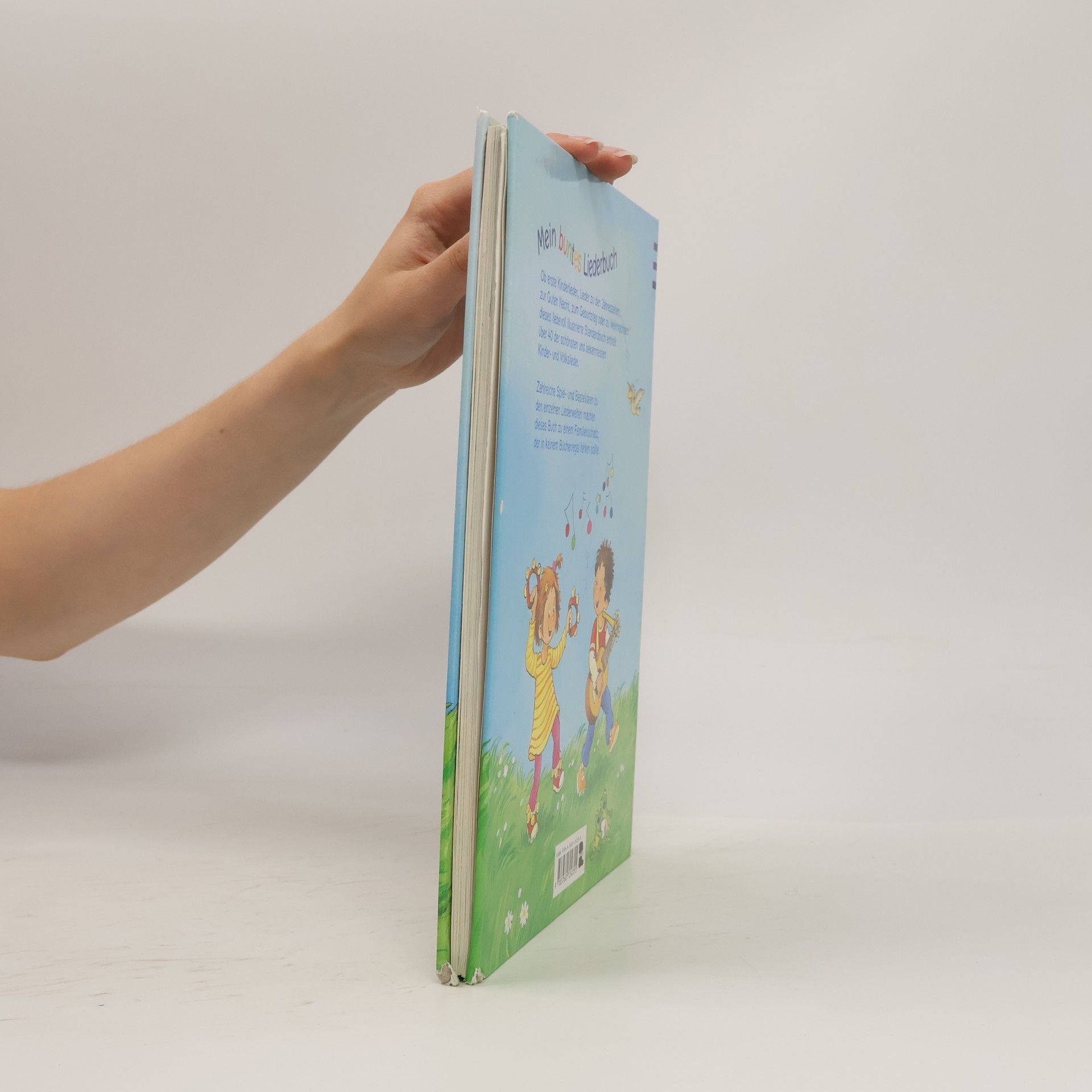 Barbara Cratzius Mein buntes Liederbuch