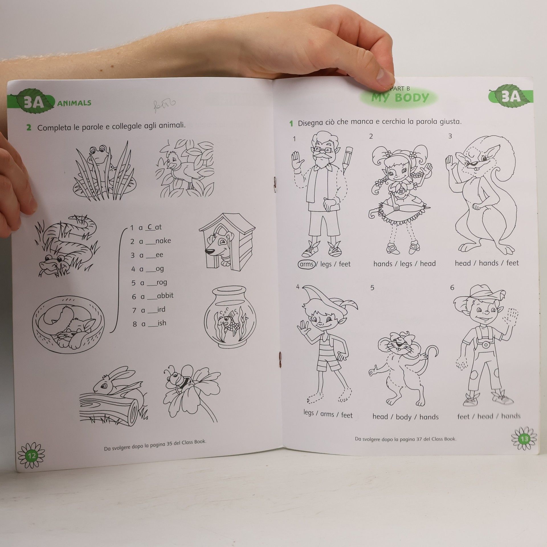 Catia Longo Treetops. Workbook. Per la scuola elementare
