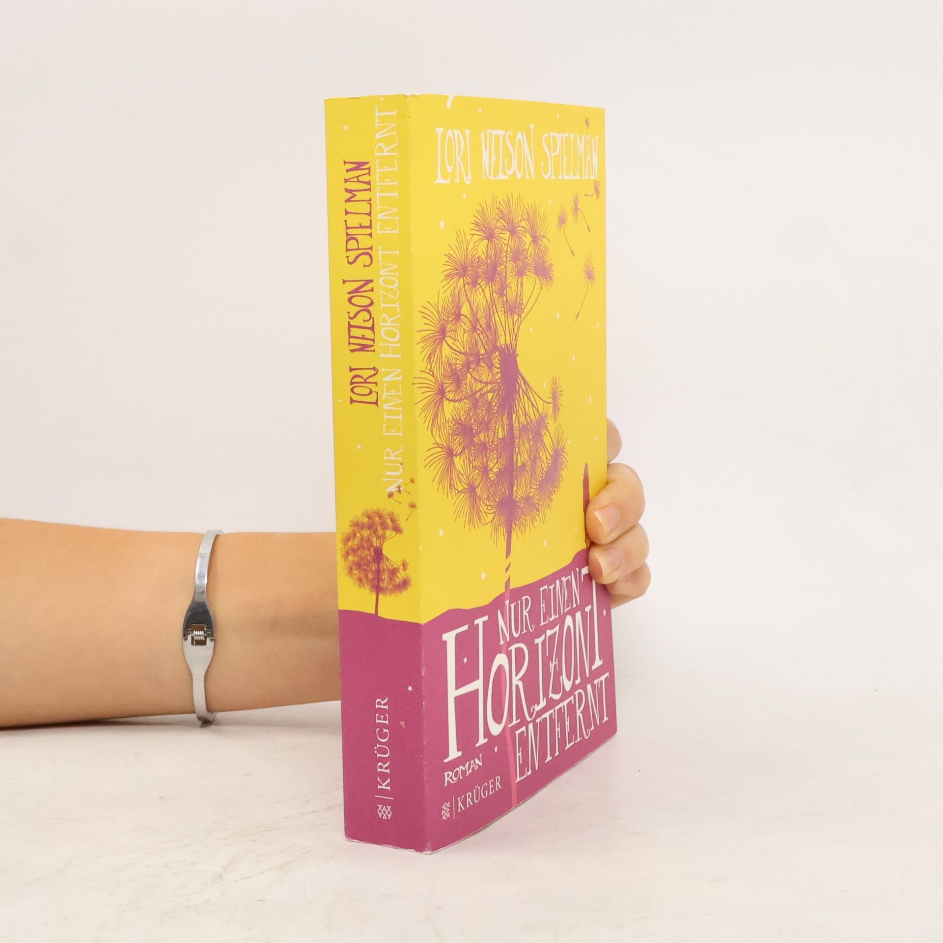Lori Nelson Spielman Nur einen Horizont entfernt