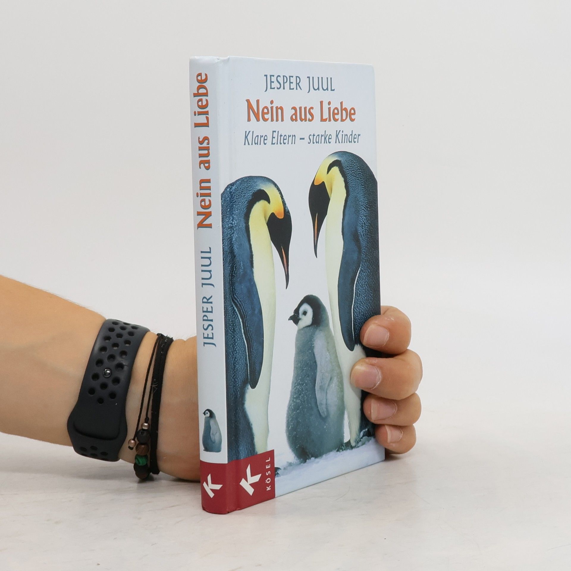 Jesper Juul Nein aus Liebe