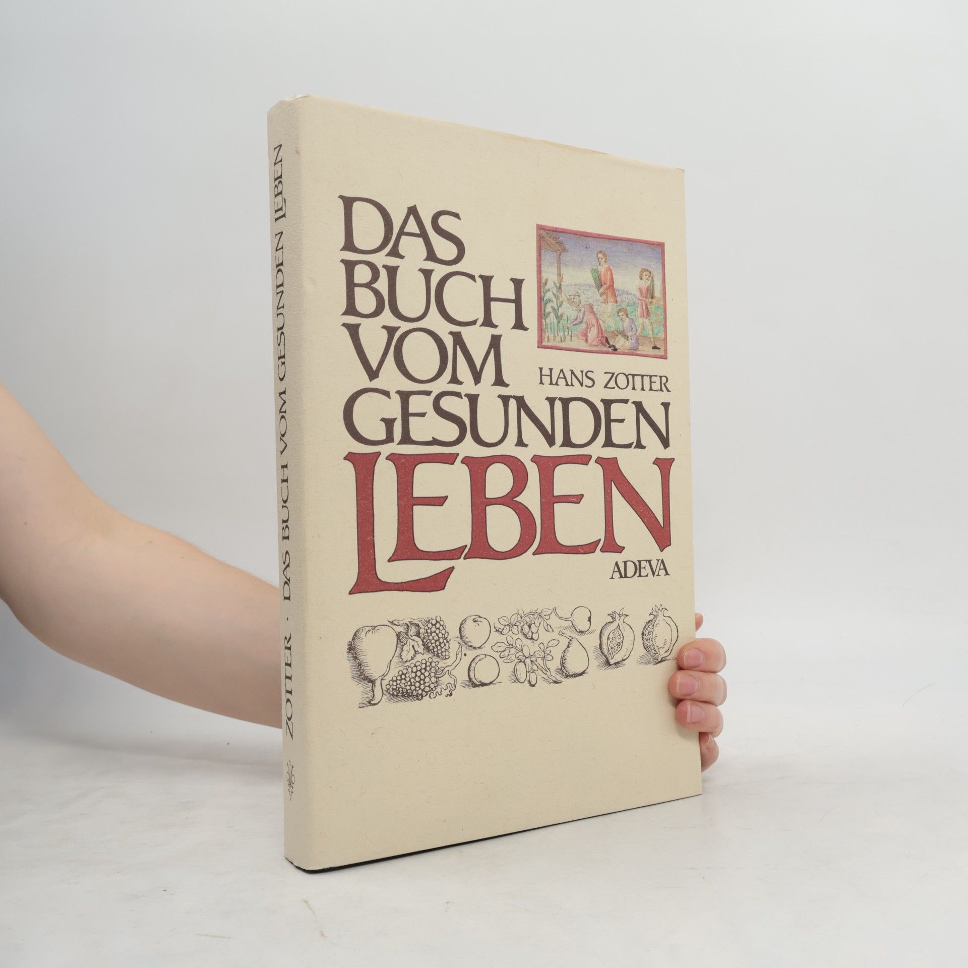 Hans Zotter Das Buch vom gesunden Leben