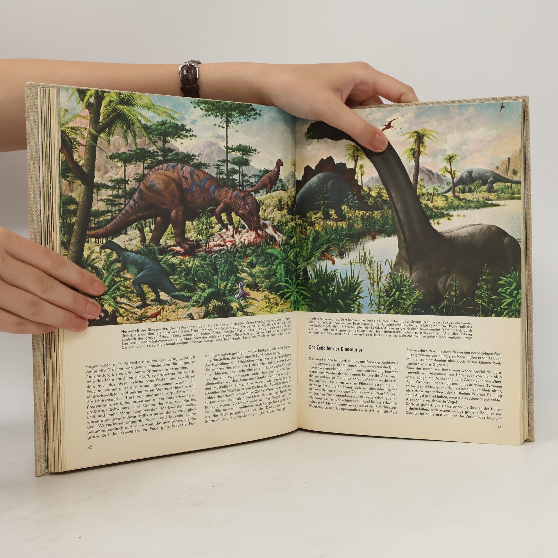 Various authors Die Welt in der wir Leben