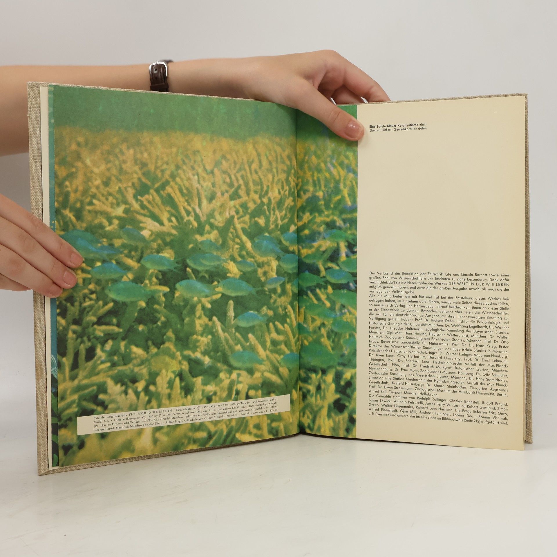 Various authors Die Welt in der wir Leben