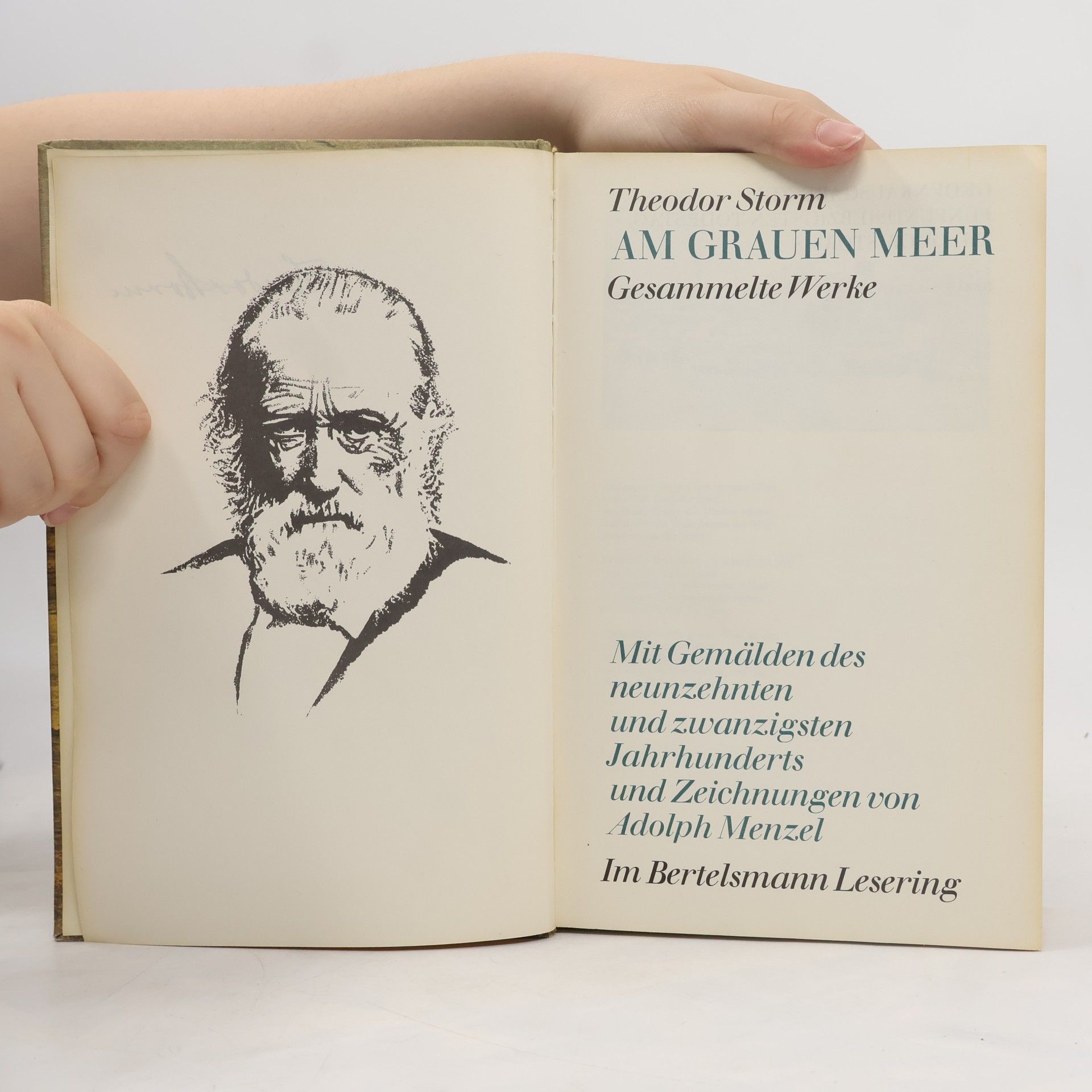 Theodor Storm Am Grauen Meer. Storms Gesammelte Werke