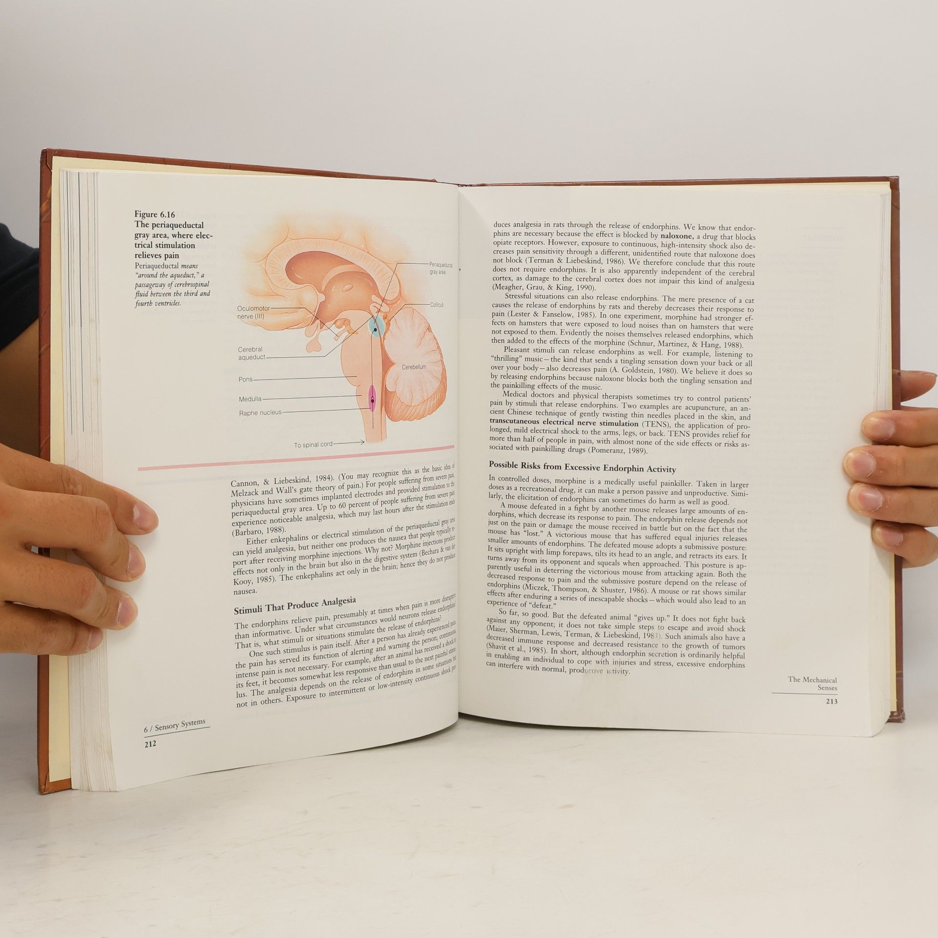 James W. Kalat Biological Psychology - Fourth Edition