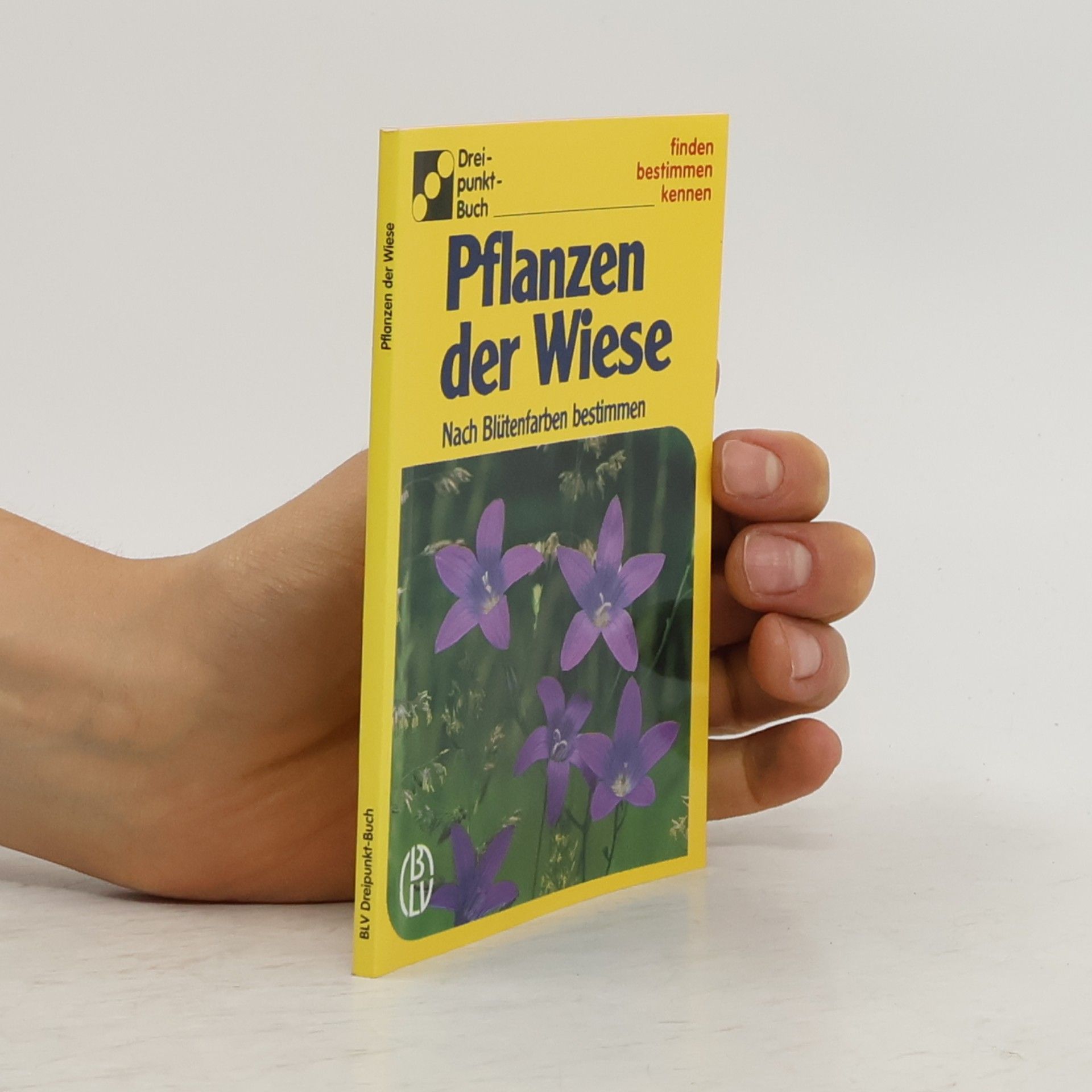 Alfred Handel Pflanzen der Wiese