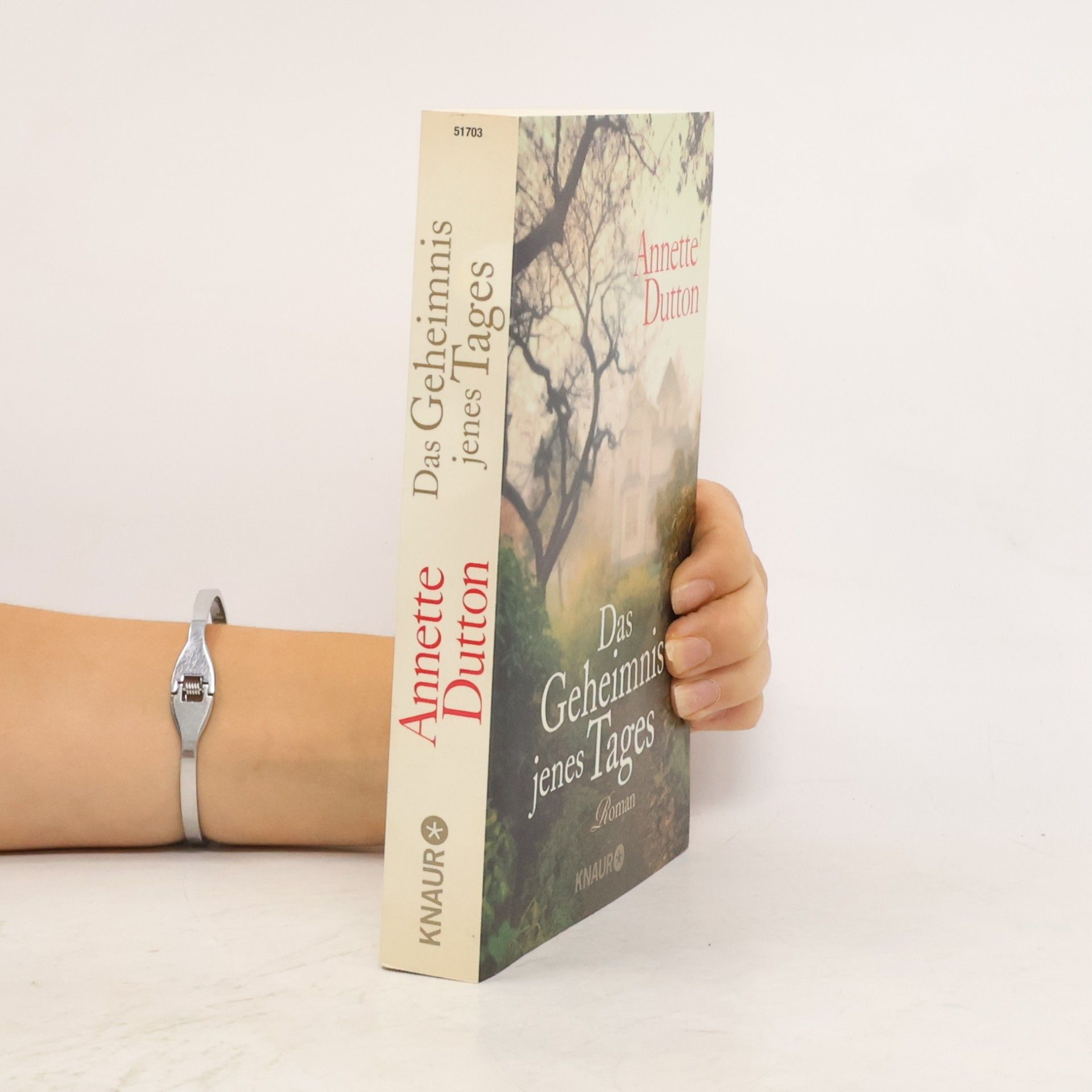 Annette Dutton Das Geheimnis jenes Tages