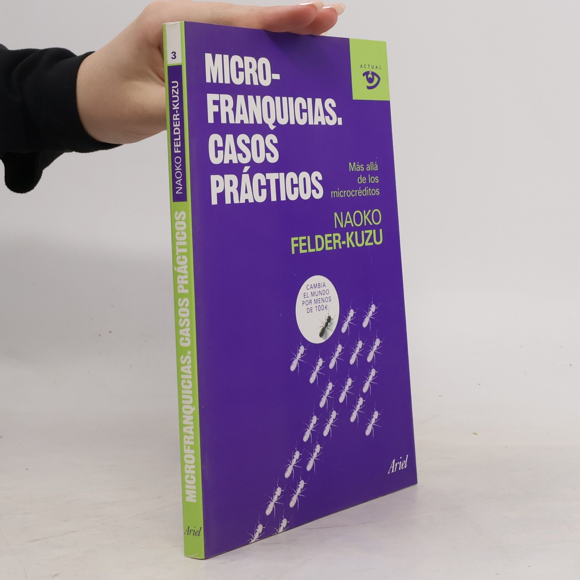 Actual - 3: Microfranquicias