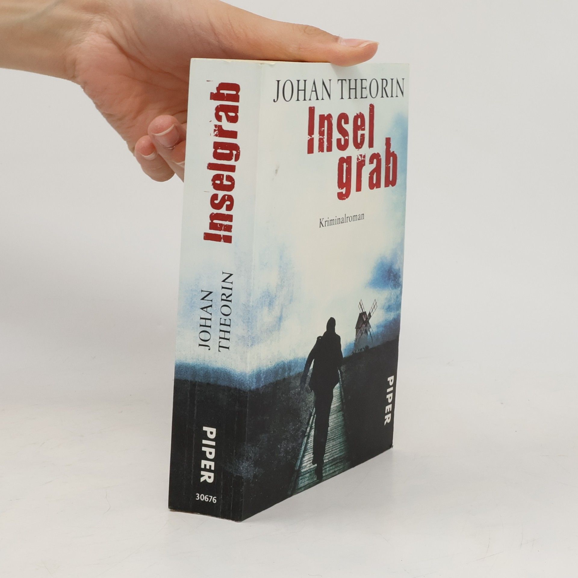 Johan Theorin Inselgrab