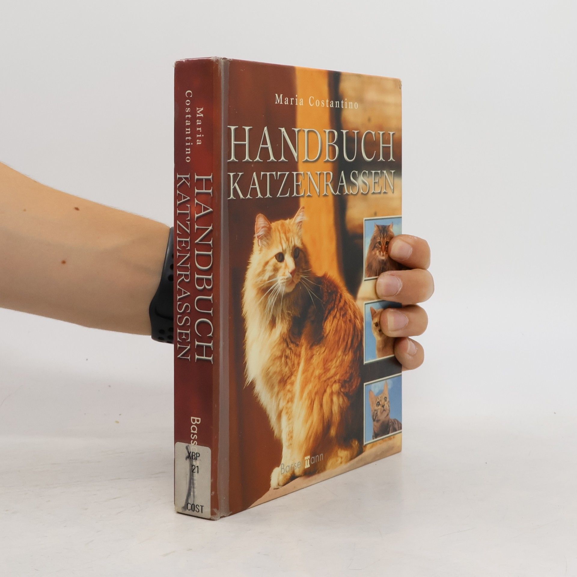 Maria Constantino Handbuch Katzenrassen
