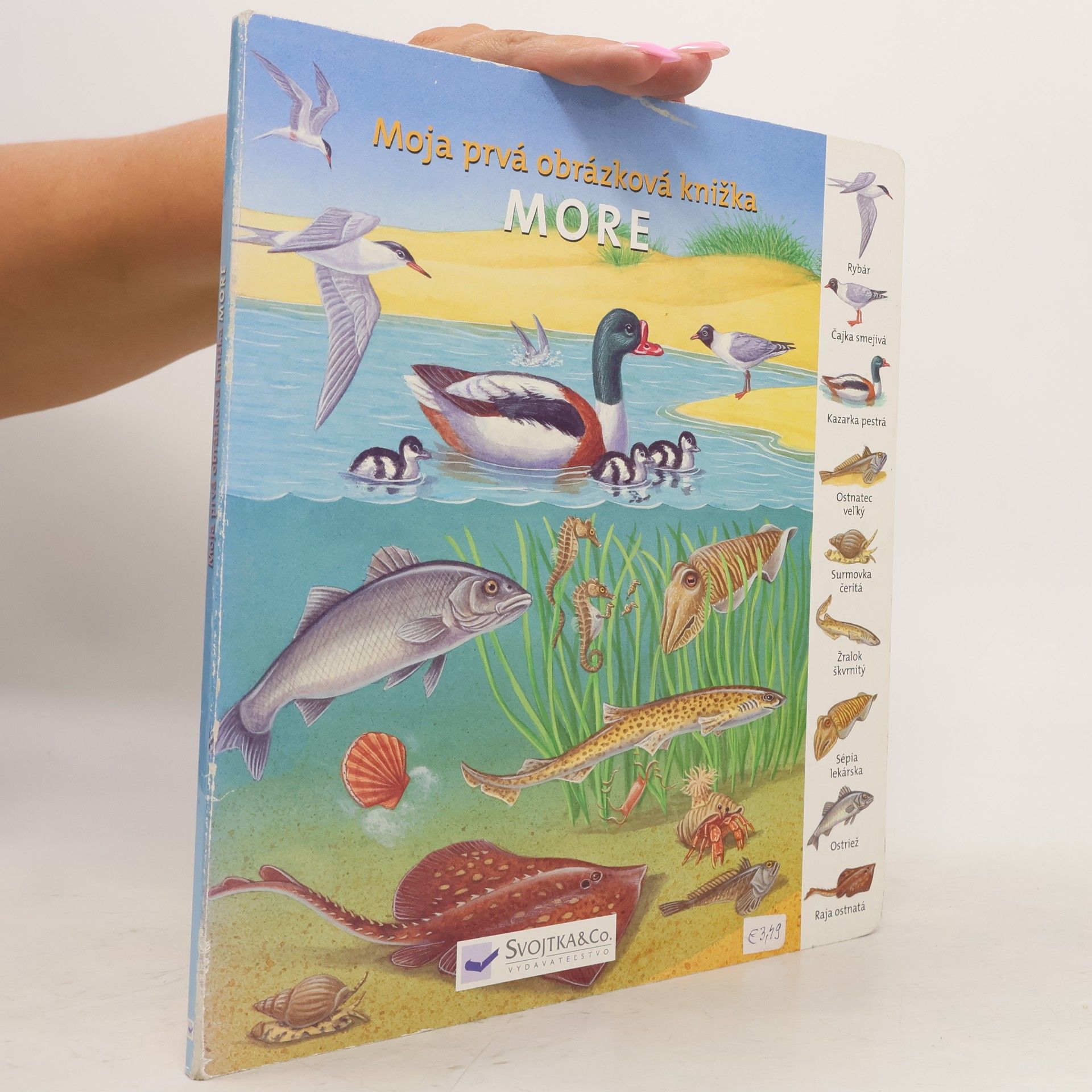 Autores varios Moja prvá obrázková knižka - More