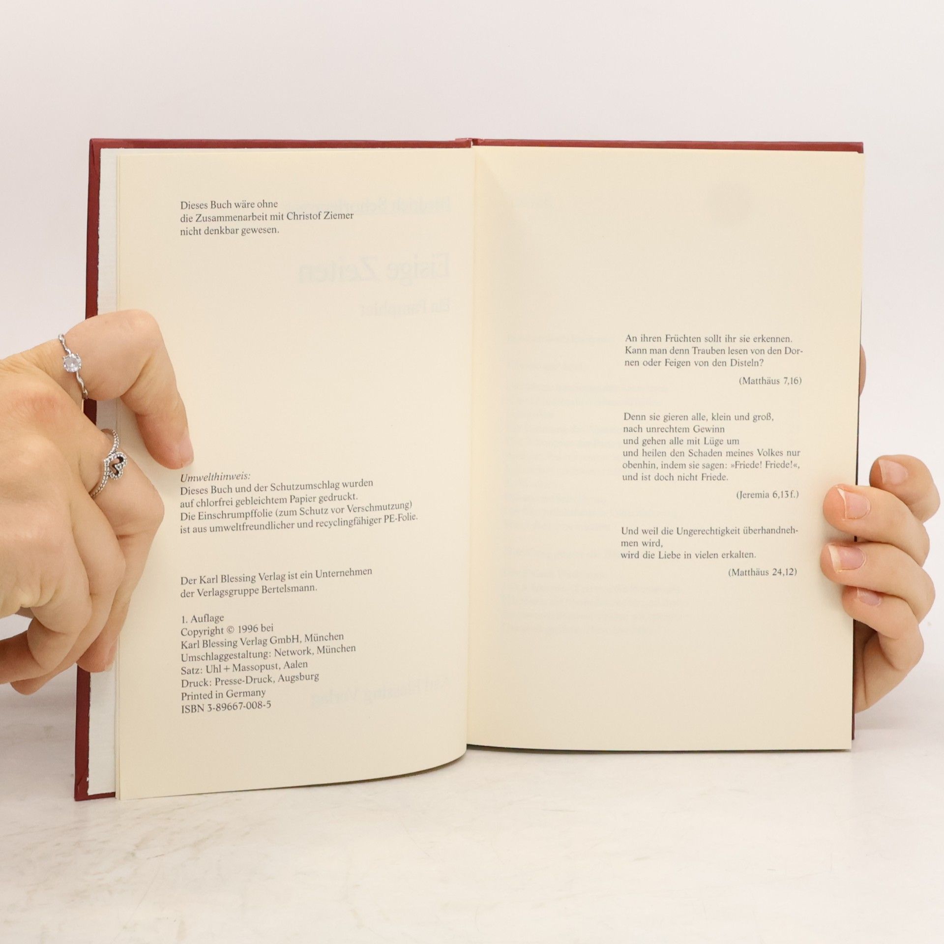Friedrich Schorlemmer Eisige Zeiten