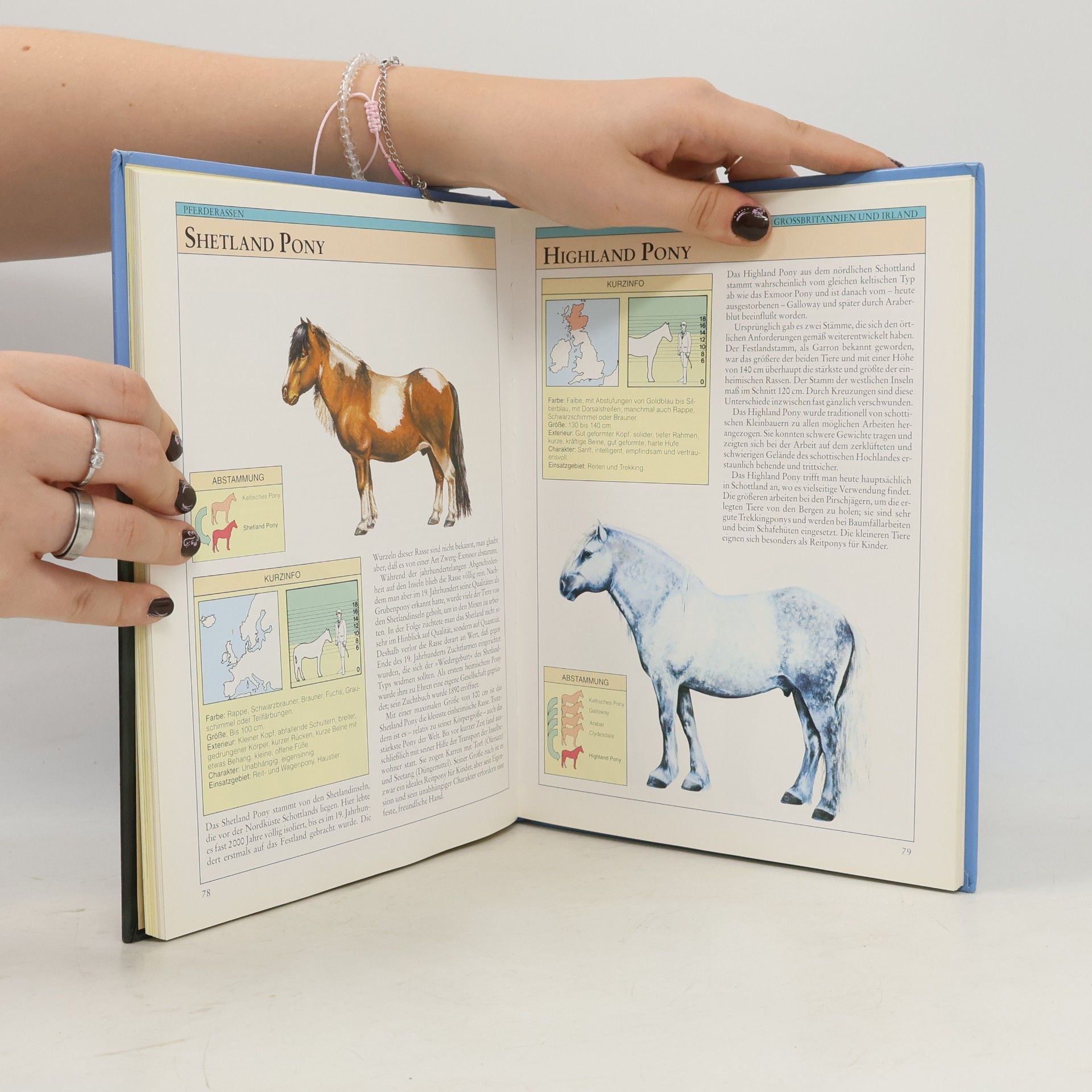 Susan McBane Bassermann-Handbuch Pferde