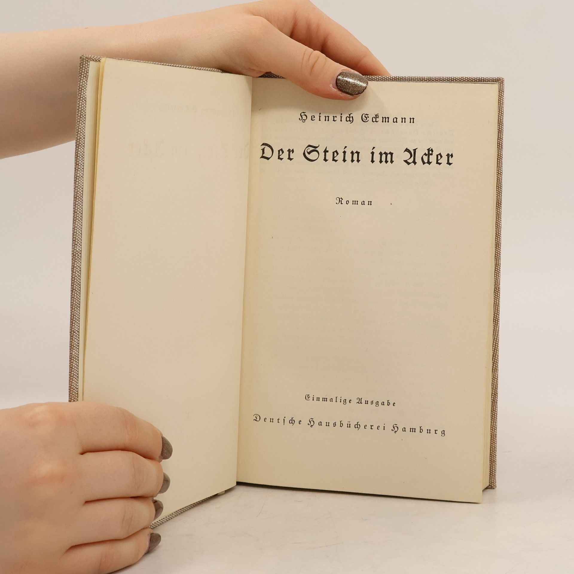 Heinrich Eckmann Der Stein im Acker