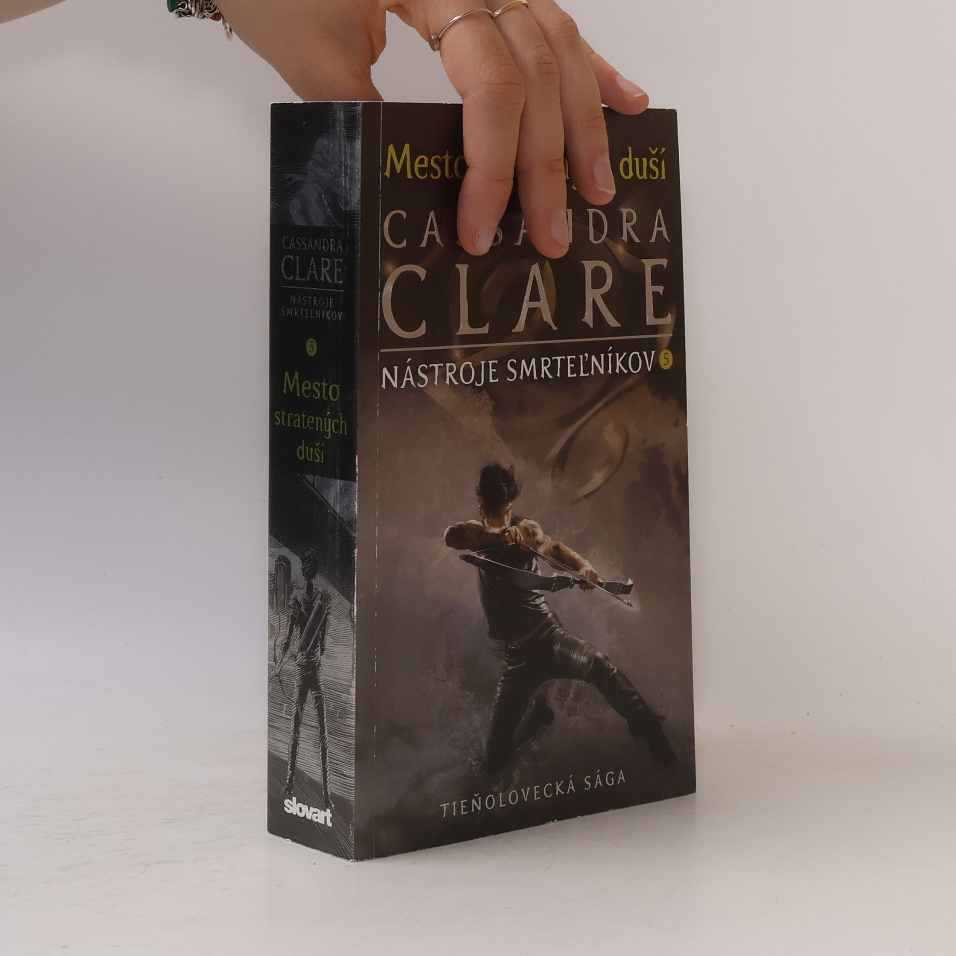 Cassandra Clare Mesto stratených duší
