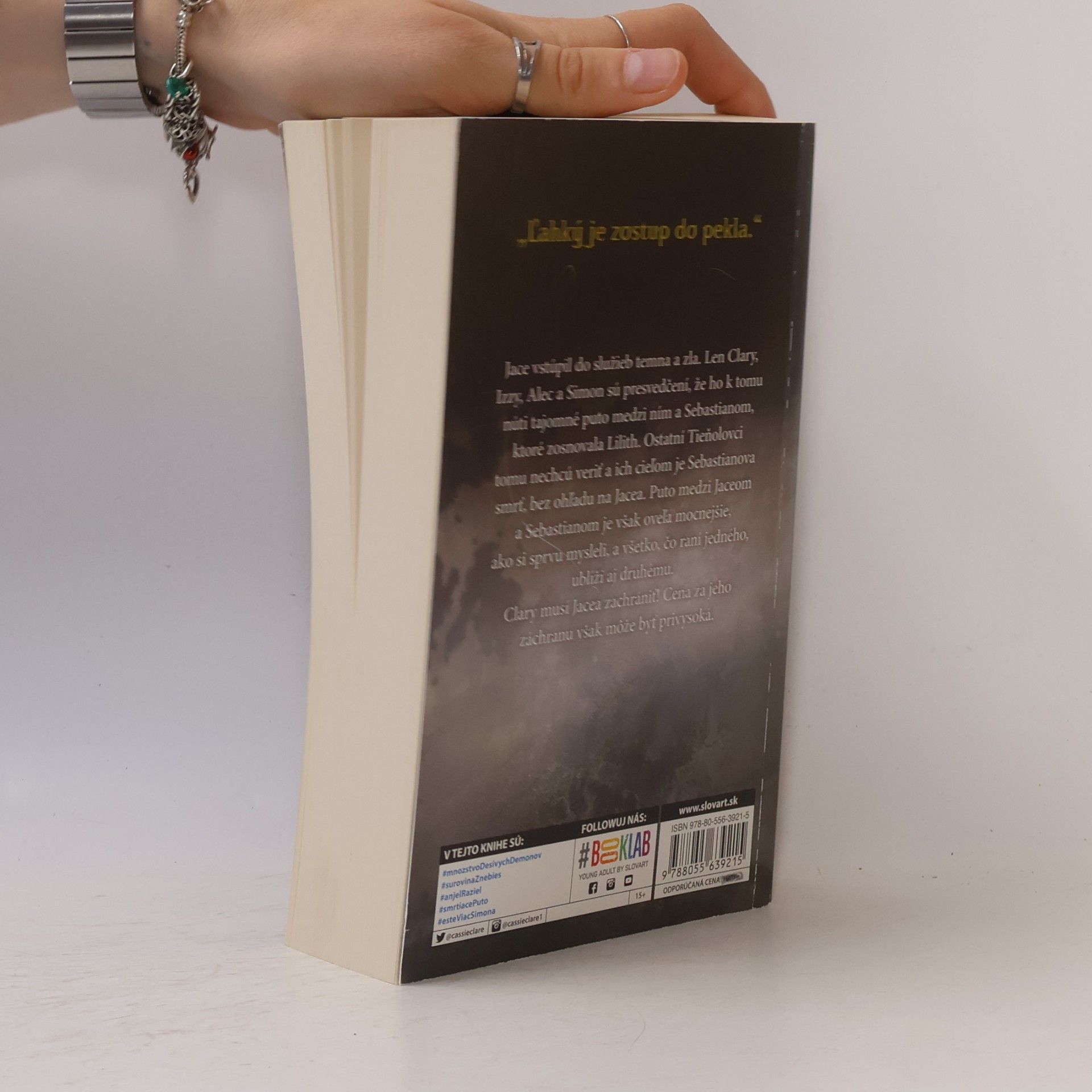 Cassandra Clare Mesto stratených duší