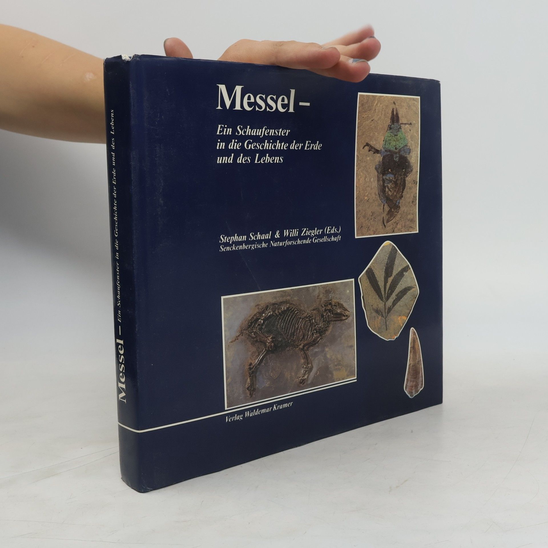 Senckenberg-Buch: Messel