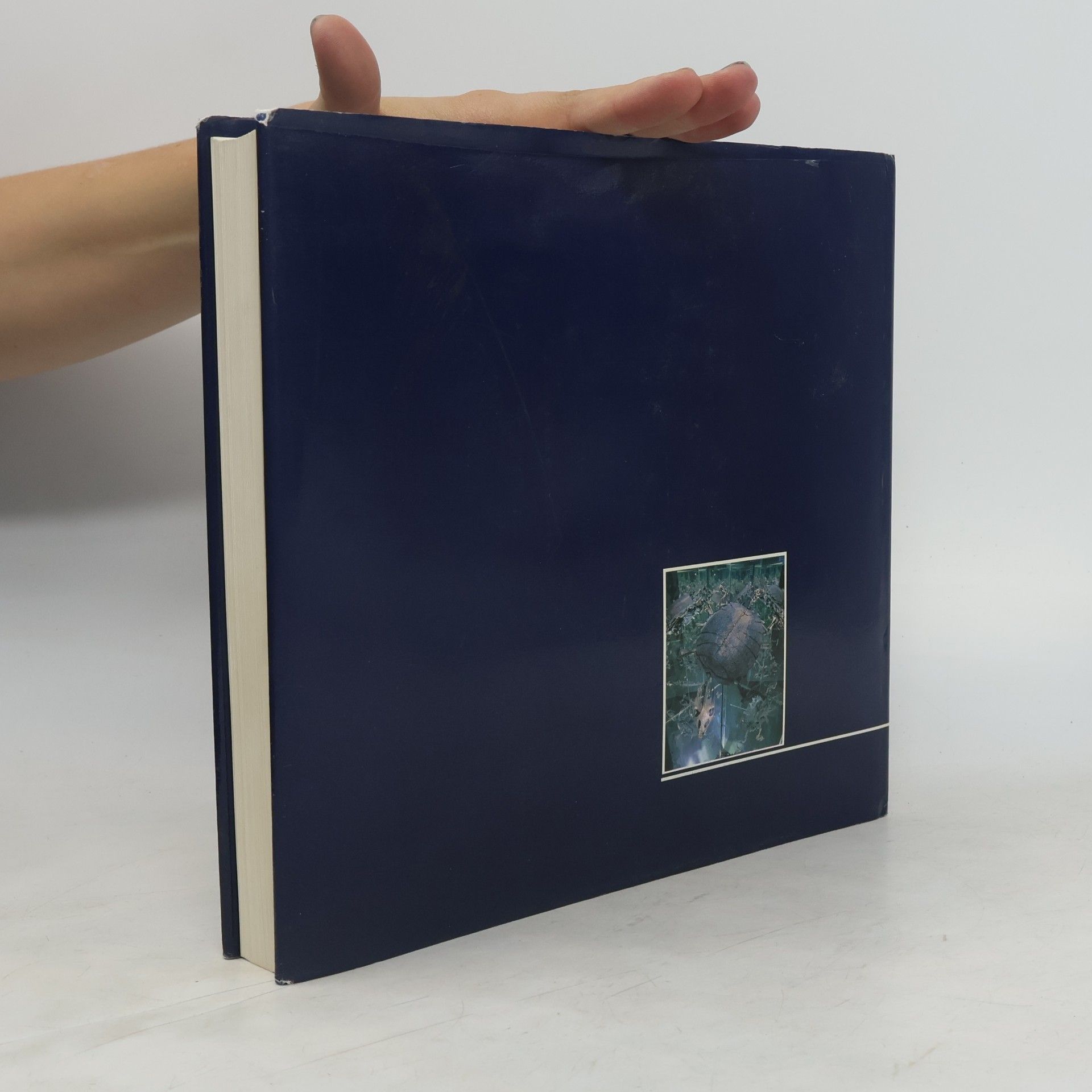 Stephan Schaal Senckenberg-Buch: Messel