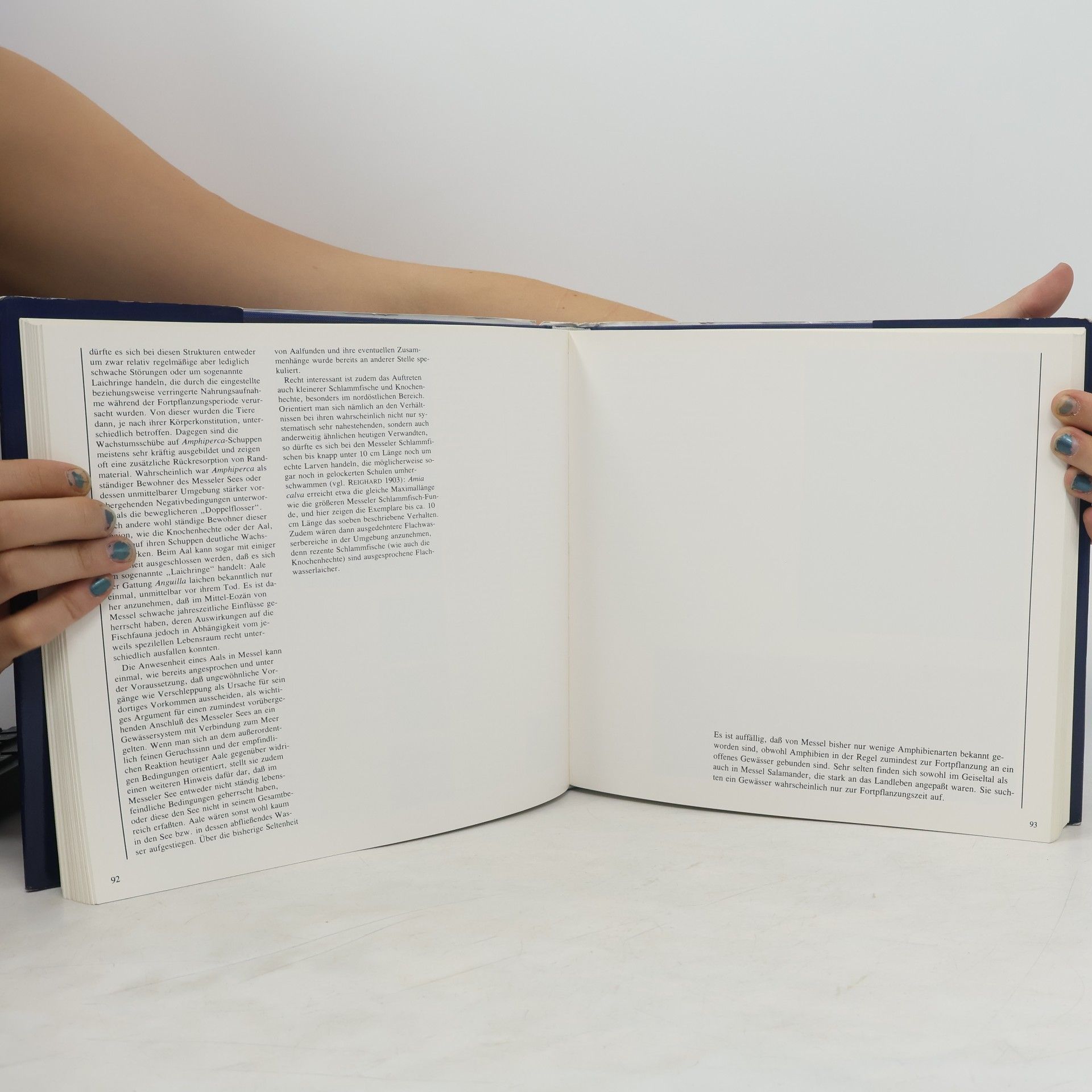 Stephan Schaal Senckenberg-Buch: Messel