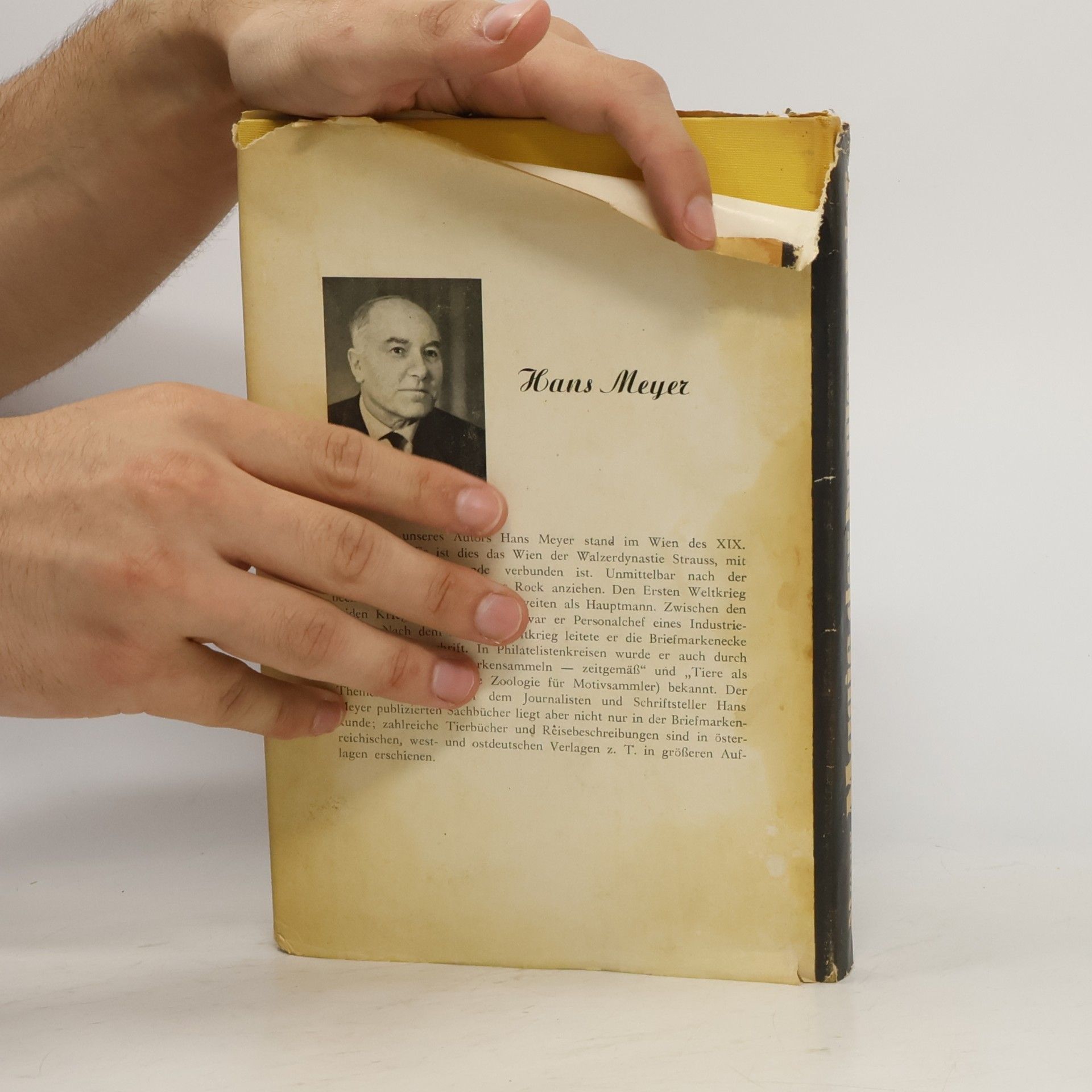 Hans Meyer Magie der bunten Bilder