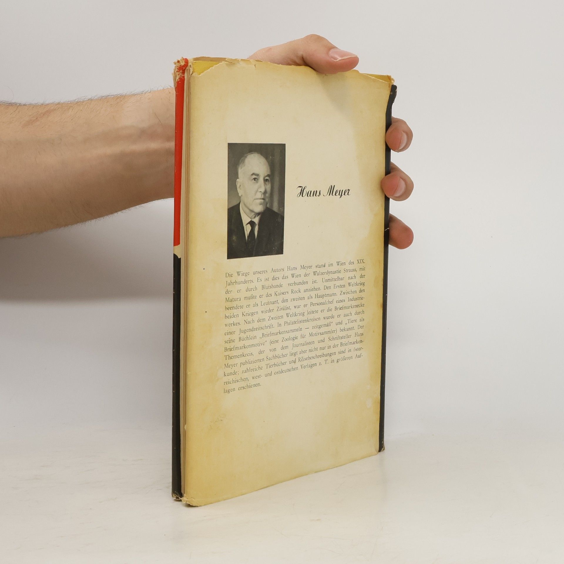 Hans Meyer Magie der bunten Bilder
