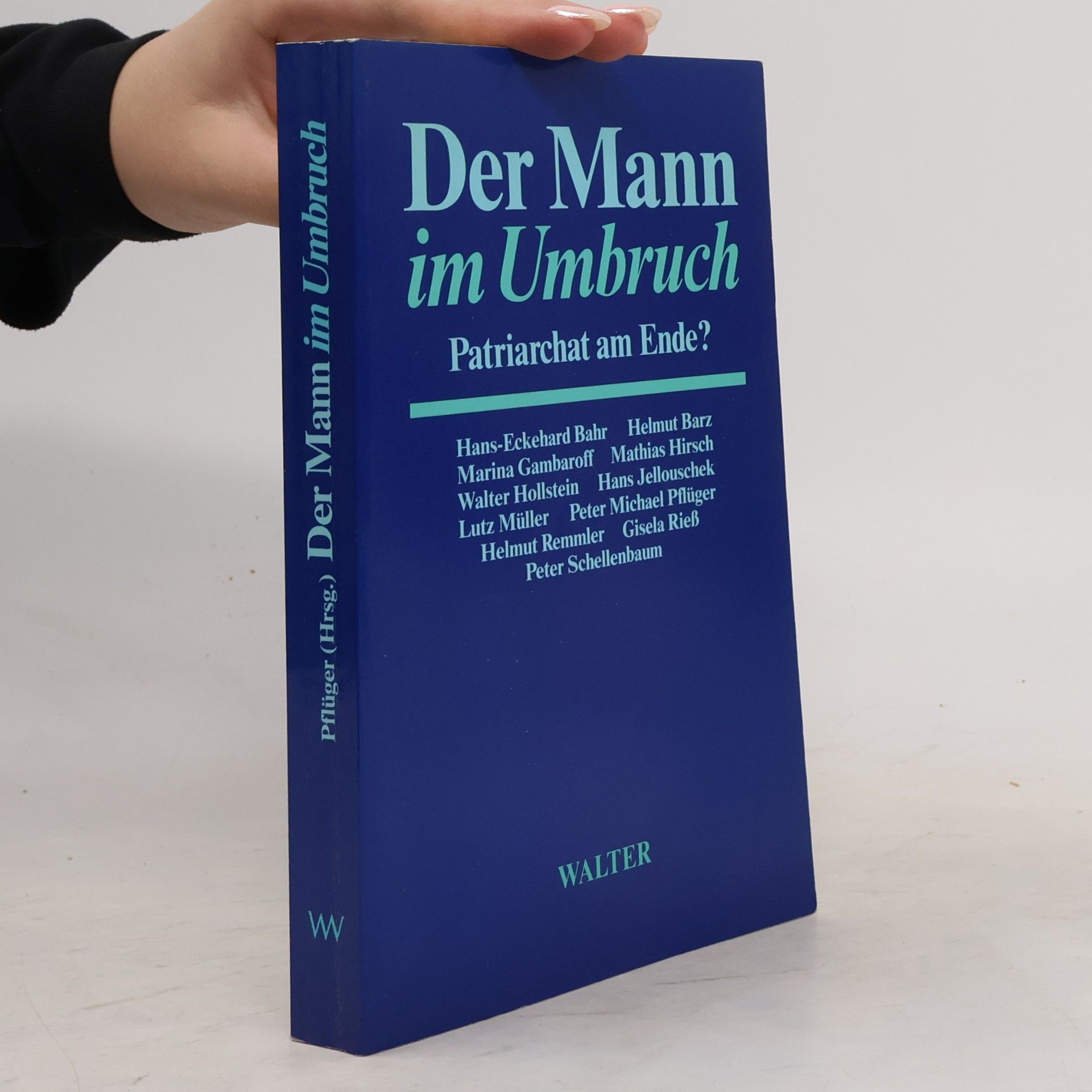 Peter Michael Pflügler Der Mann im Umbruch