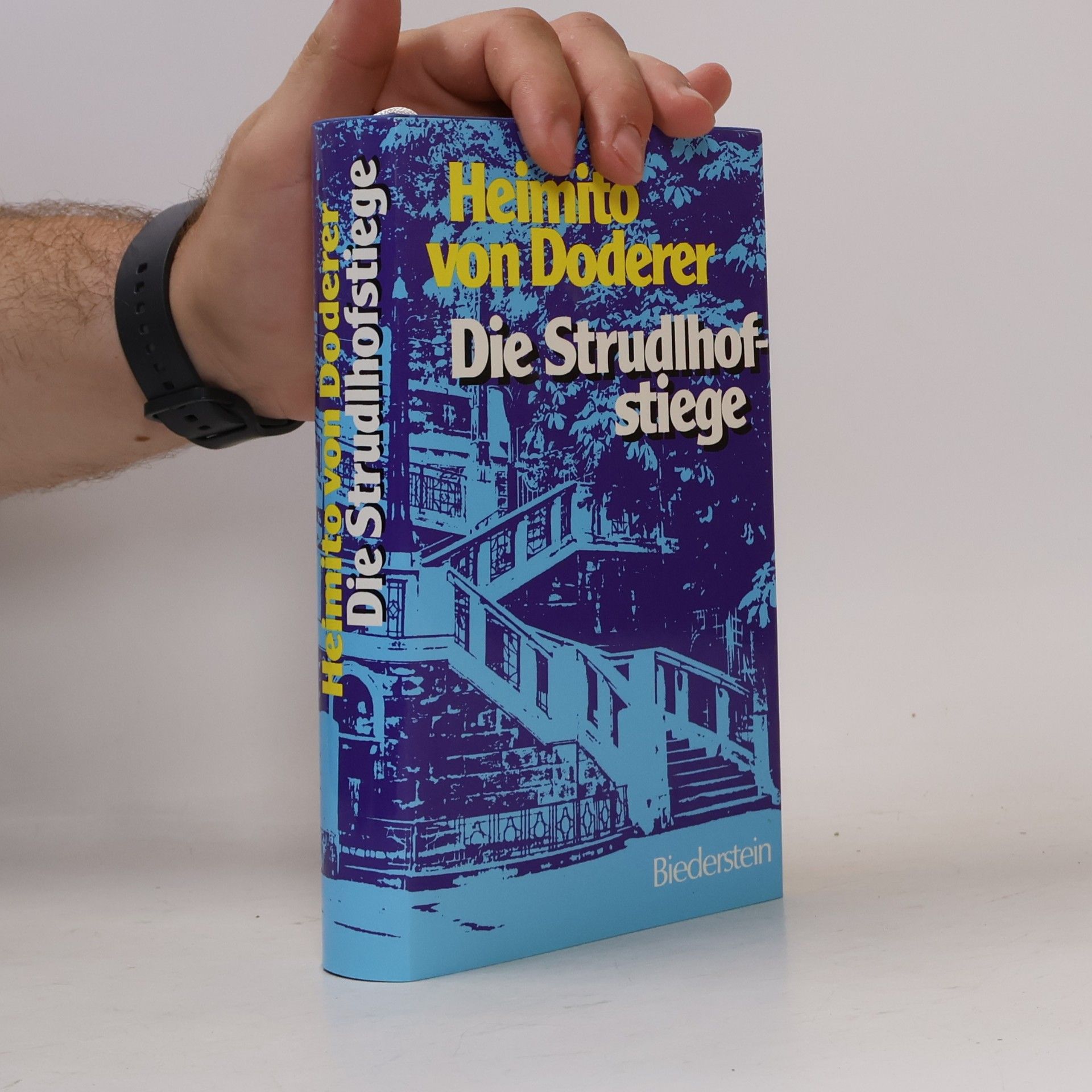 Heimito von Doderer Die Strudlhofstiege