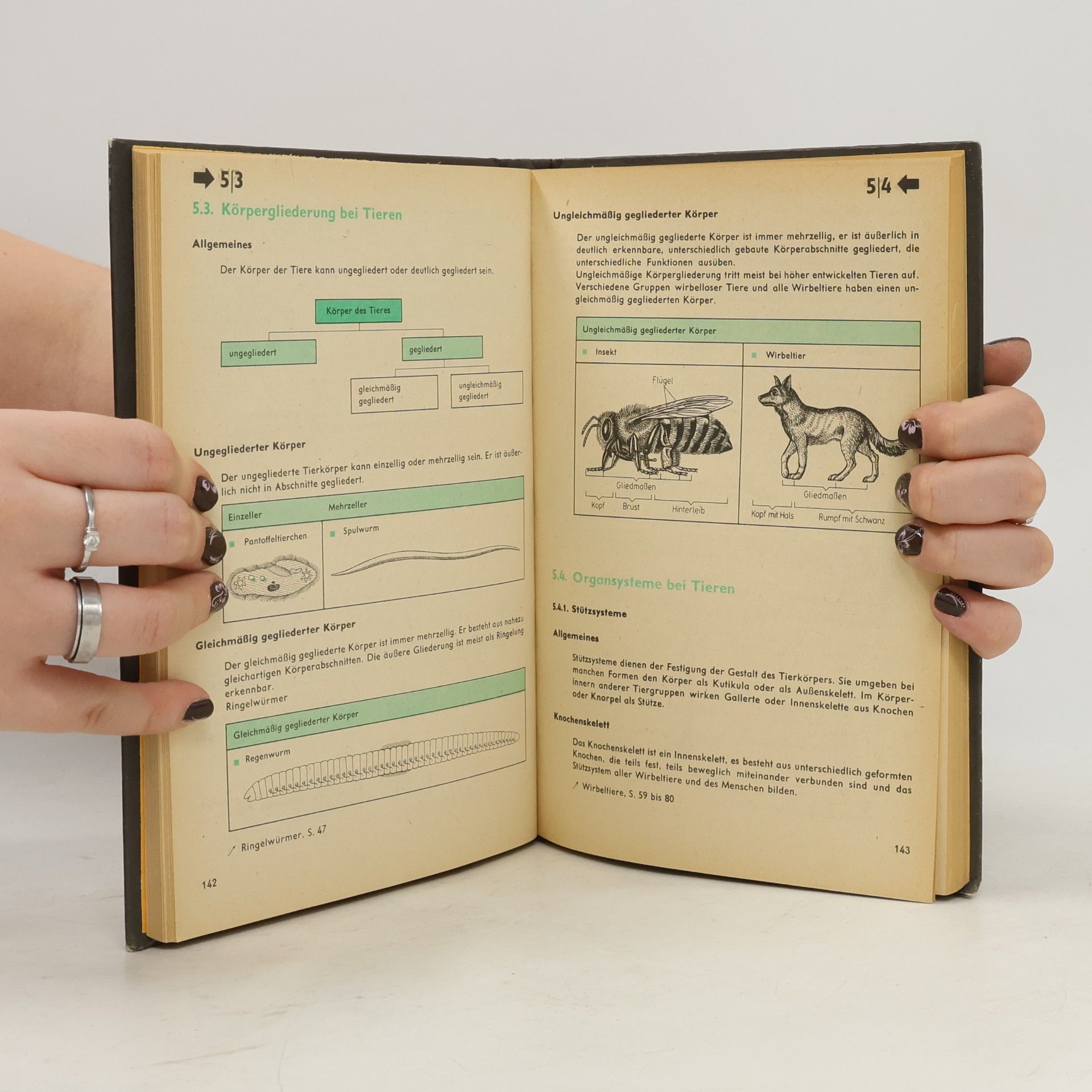Auteurscollectief Biologie in Übersichten